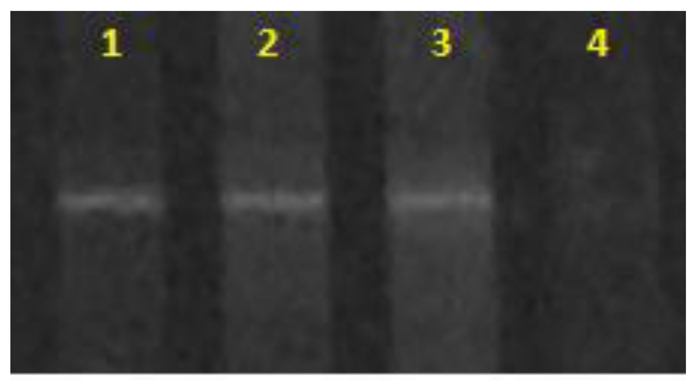 Fermentation 09 00406 g001 Fermentation 09 00406 g001