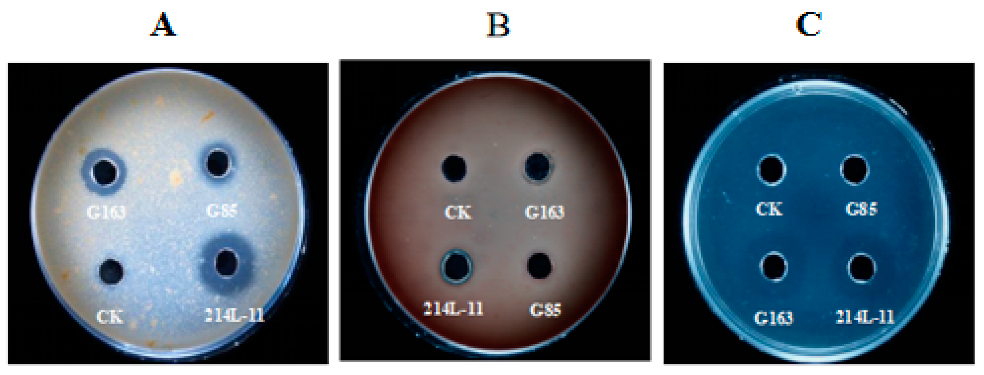Fermentation 09 00410 g001 Fermentation 09 00410 g001