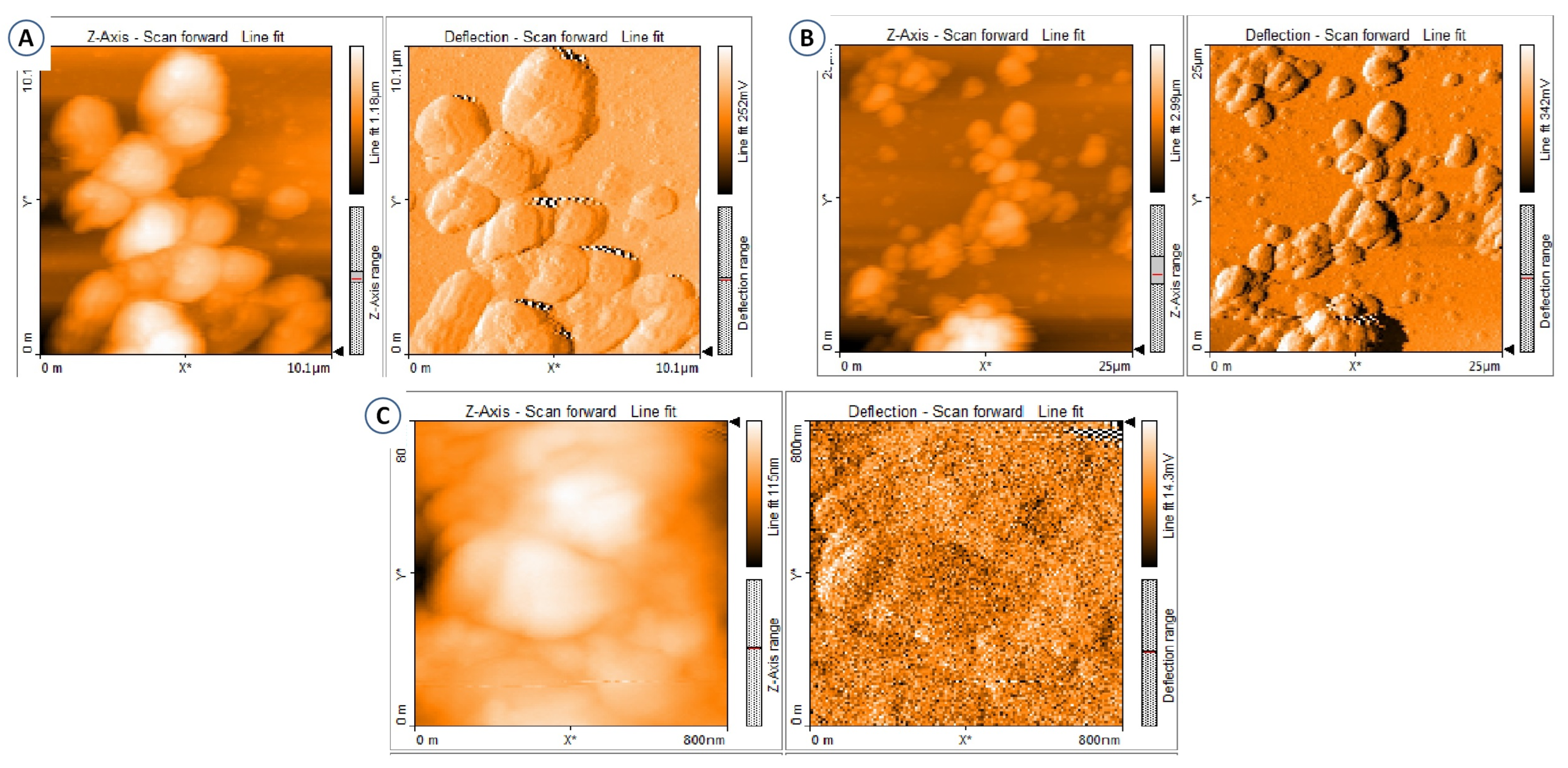 Fermentation 09 00413 g005