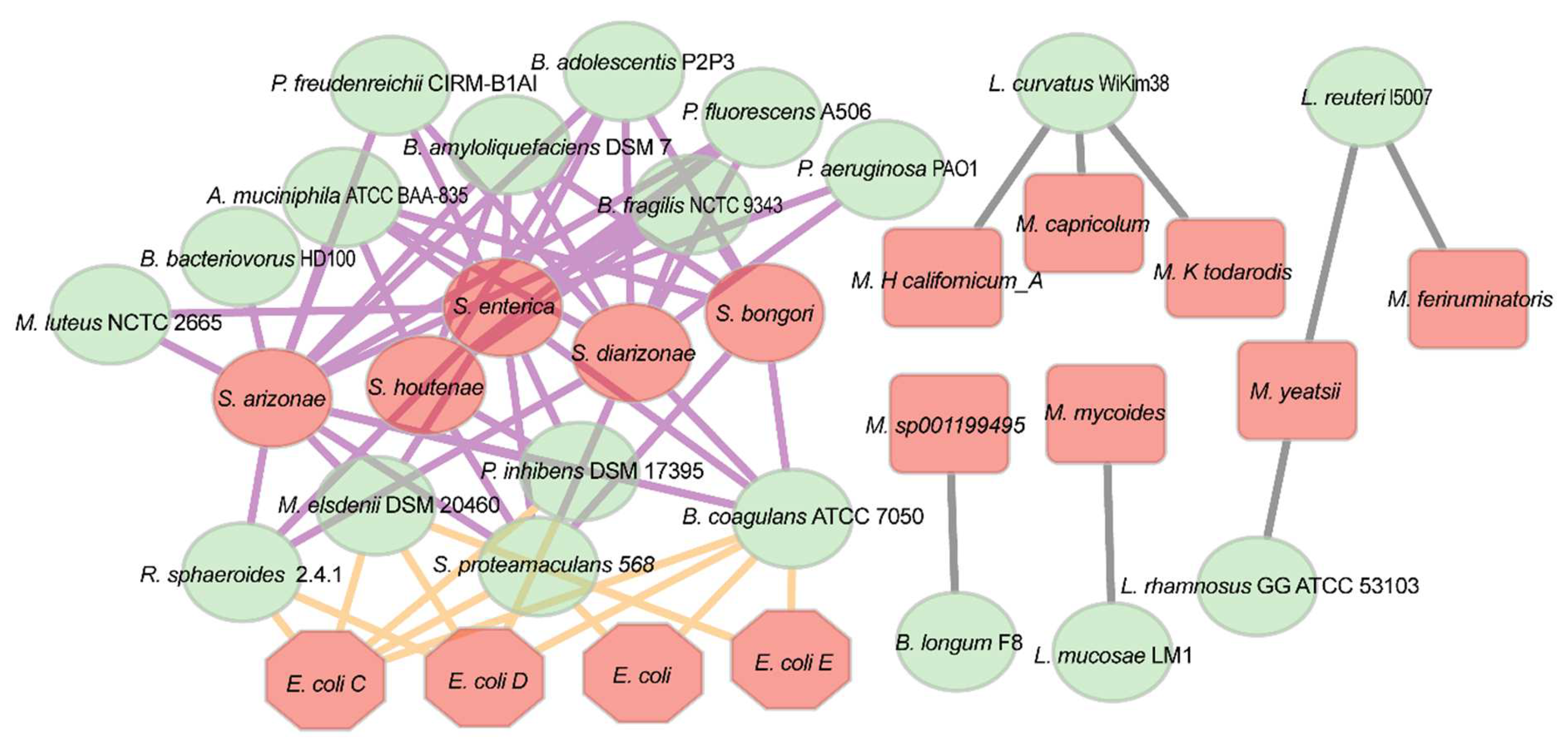 Fermentation 09 00417 g004