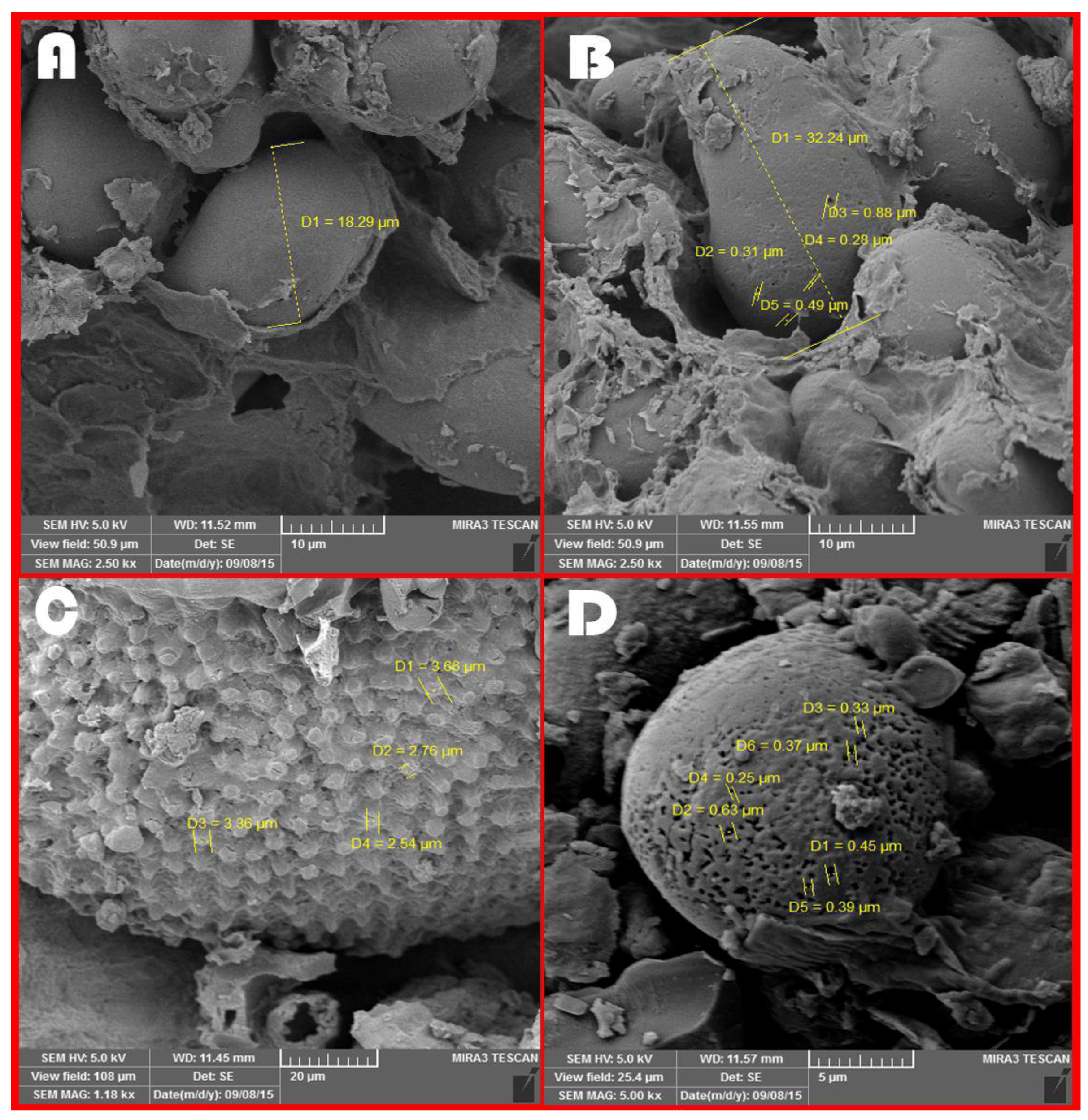 Fermentation 09 00419 g003