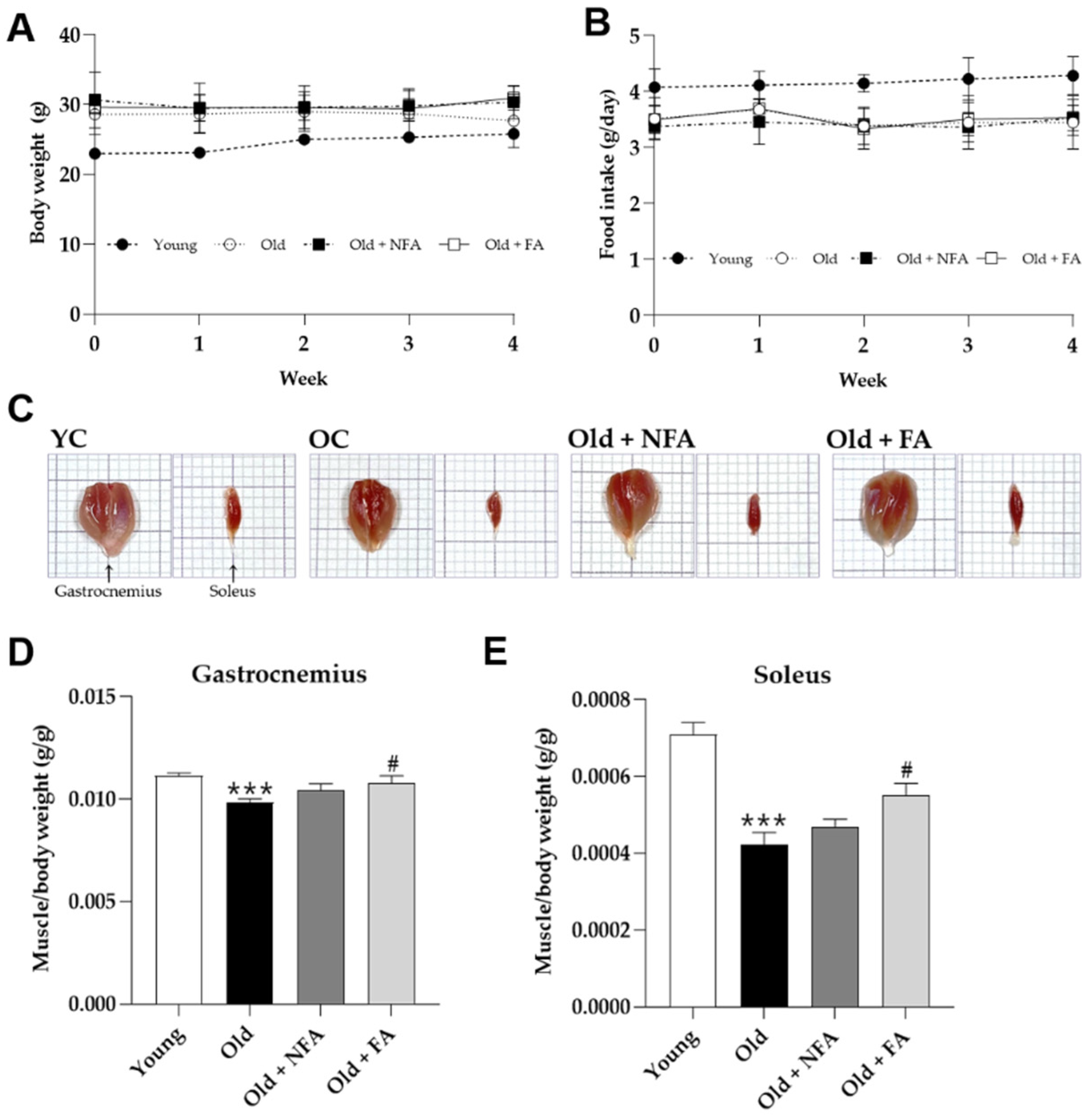 Fermentation 09 00429 g002