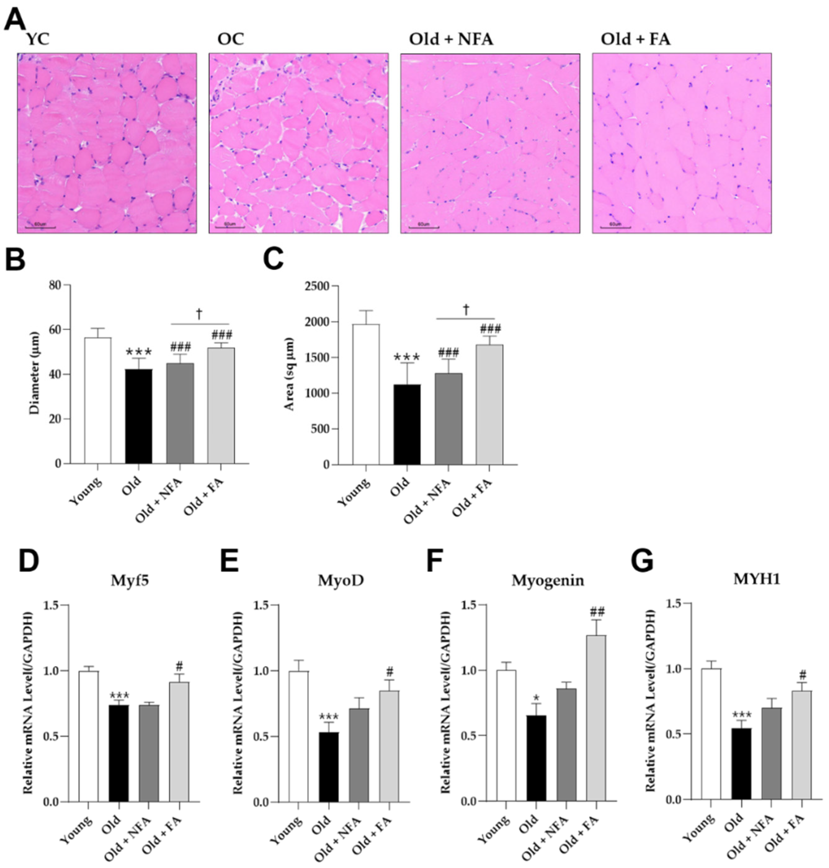 Fermentation 09 00429 g006