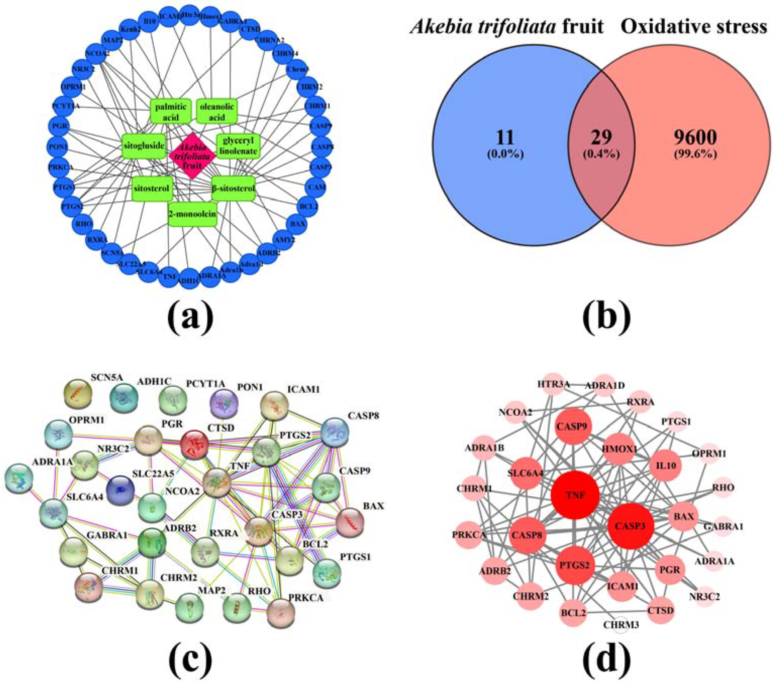 Fermentation 09 00432 g005