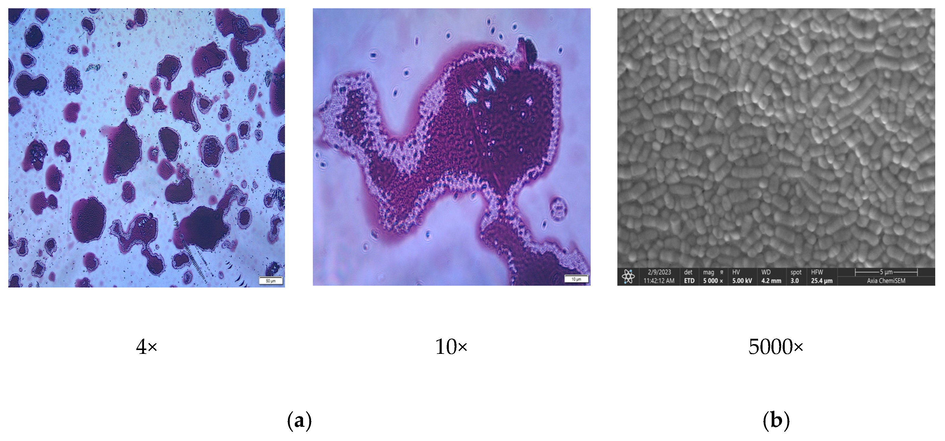 Fermentation 09 00441 g002 Fermentation 09 00441 g002