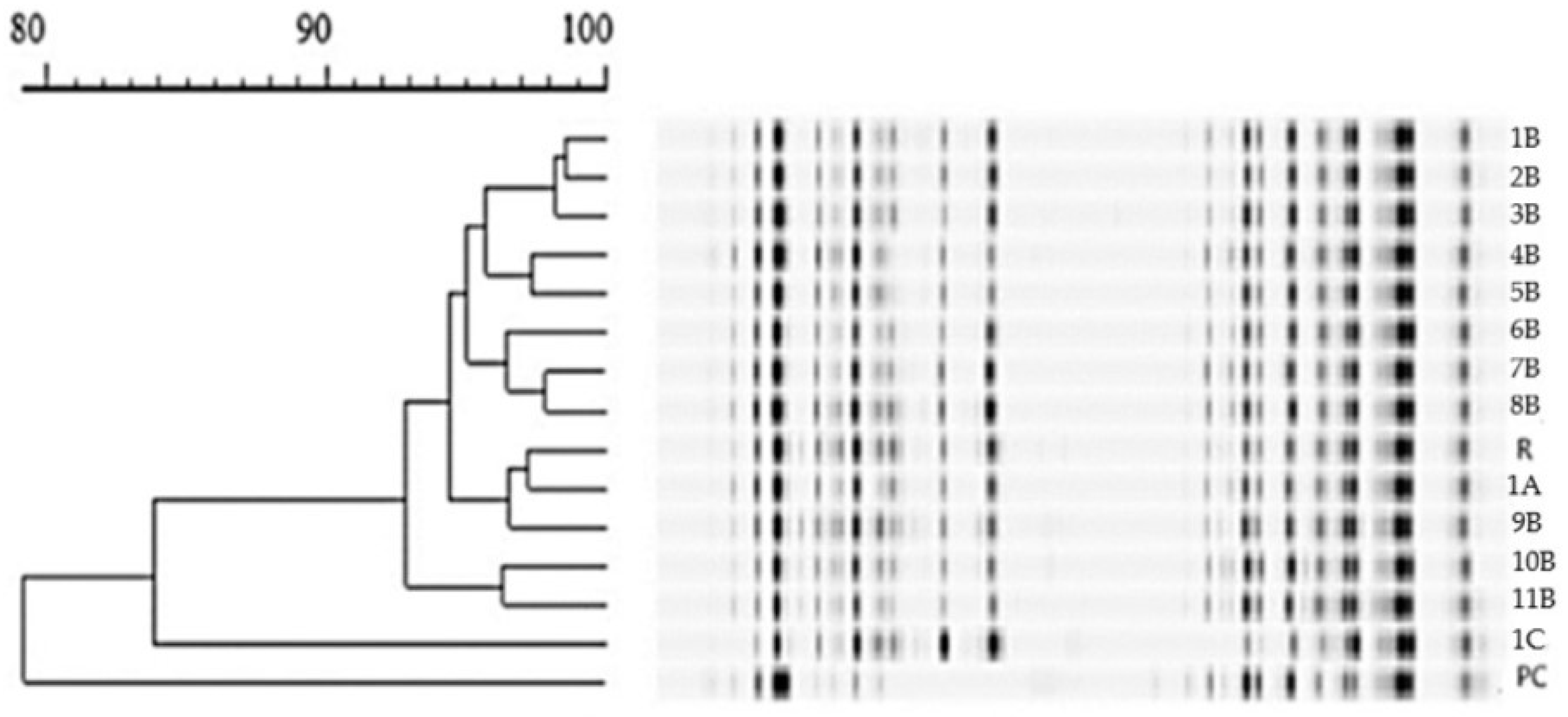 Fermentation 09 00441 g005 Fermentation 09 00441 g005
