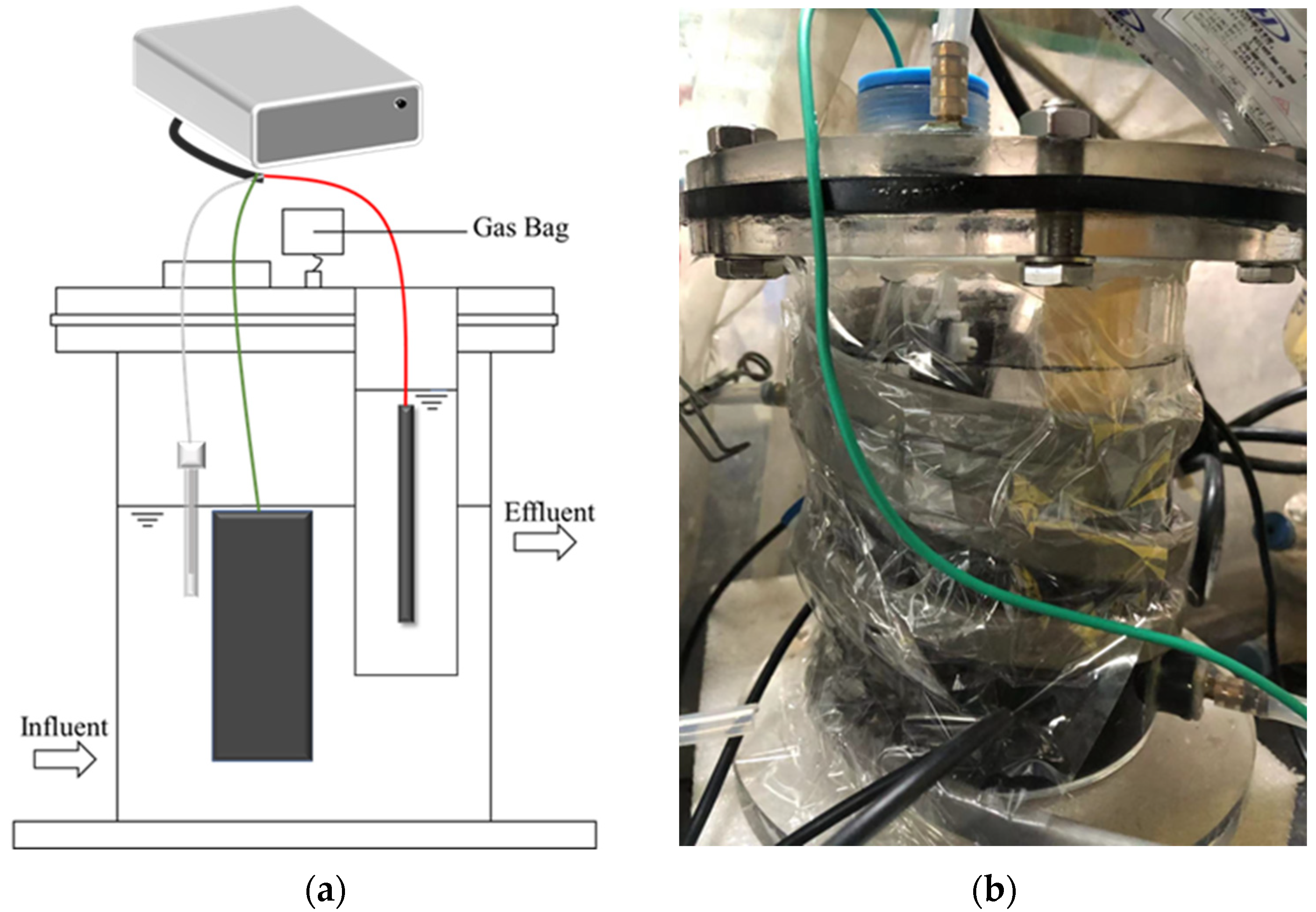 Fermentation 09 00444 g001