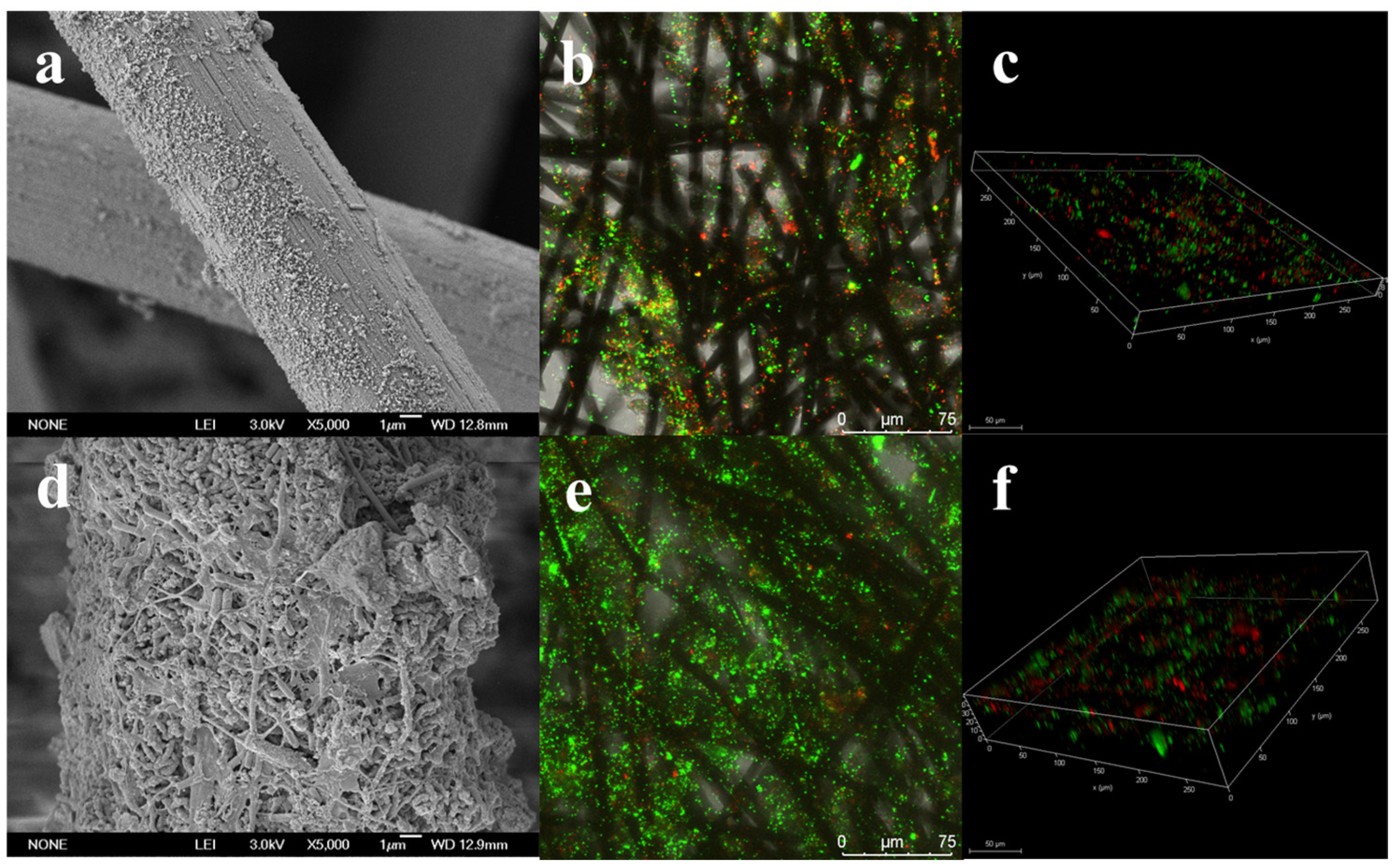 Fermentation 09 00444 g005