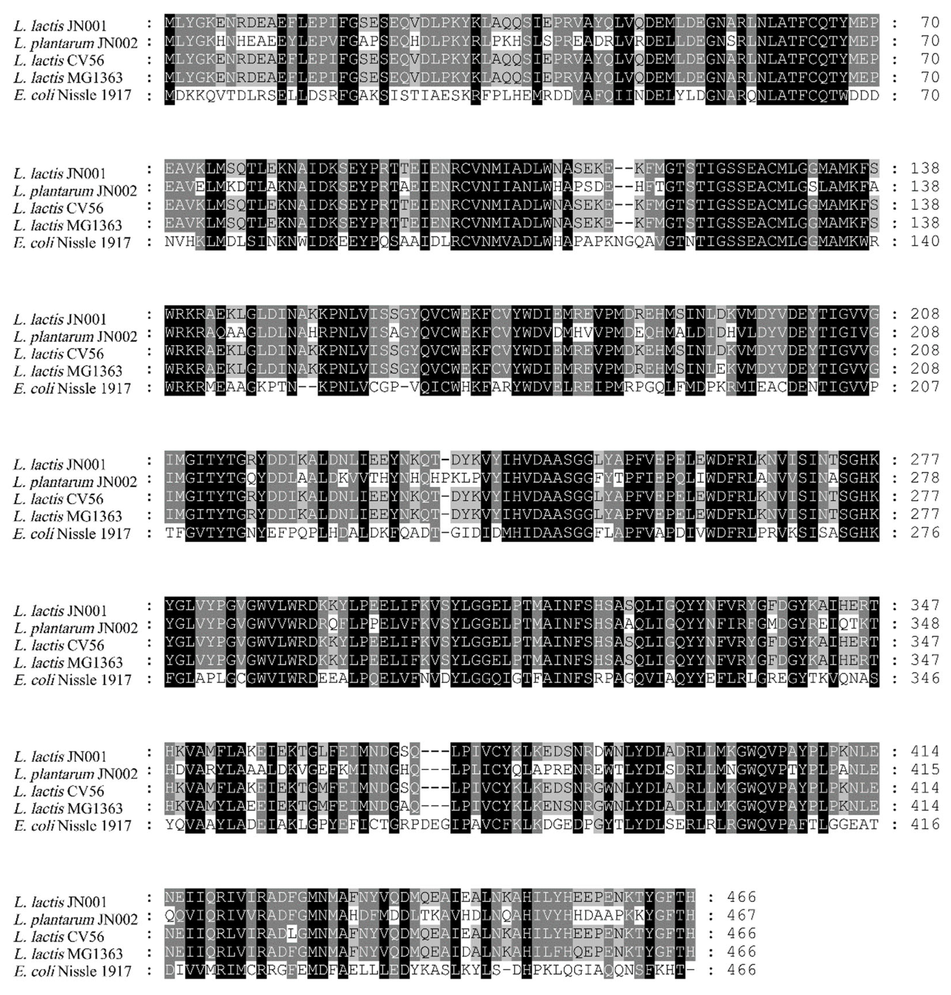 Fermentation 09 00445 g001 Fermentation 09 00445 g001