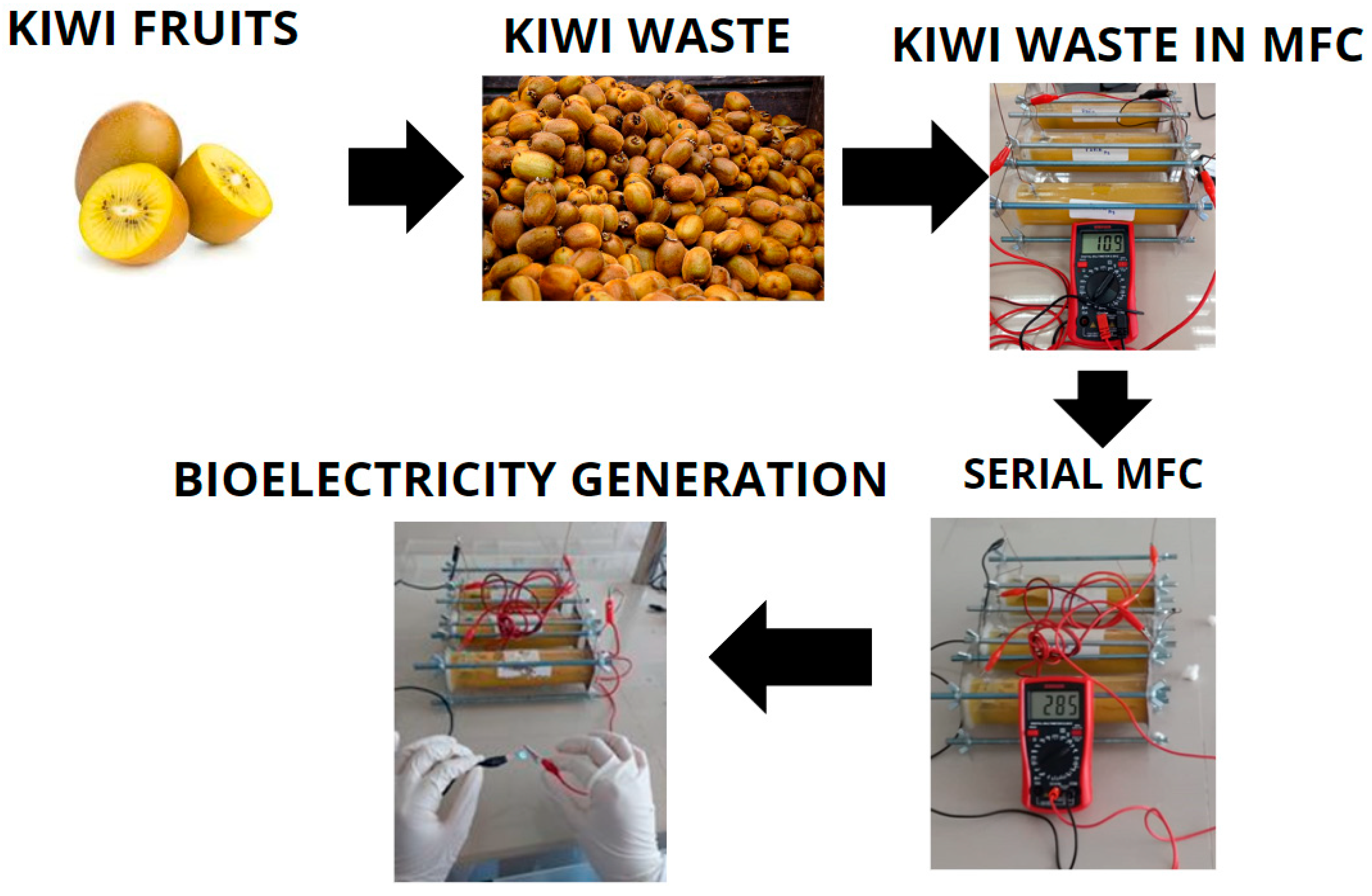 Fermentation 09 00446 g007 Fermentation 09 00446 g007
