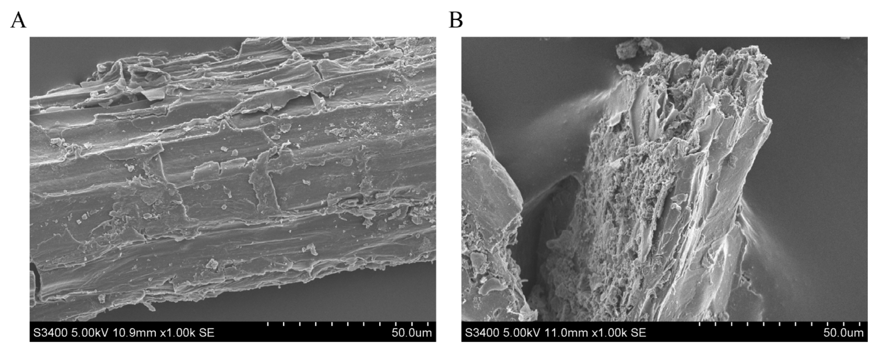 Fermentation 09 00456 g002