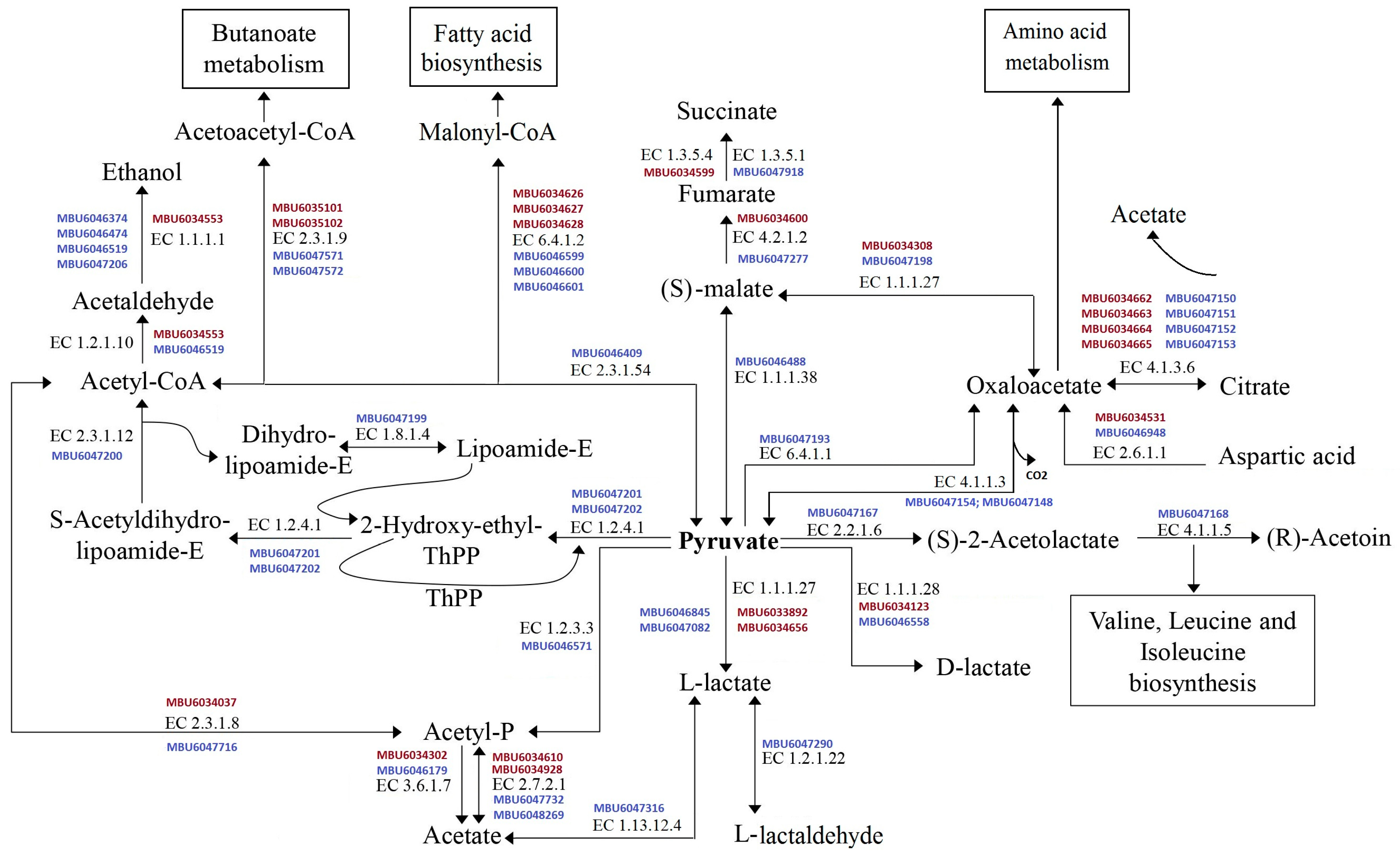 Fermentation 09 00460 g002