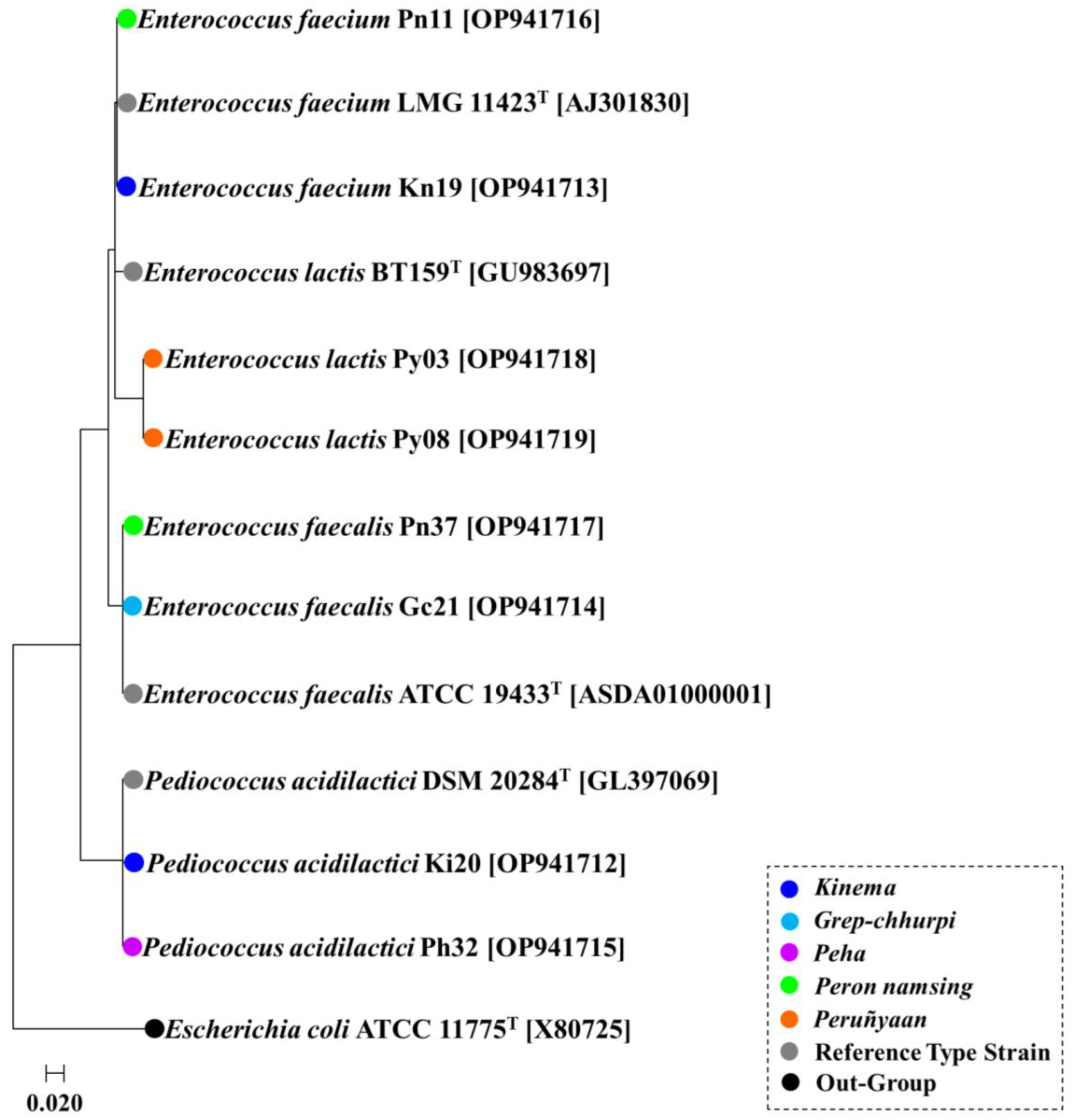 Fermentation 09 00461 g001 Fermentation 09 00461 g001