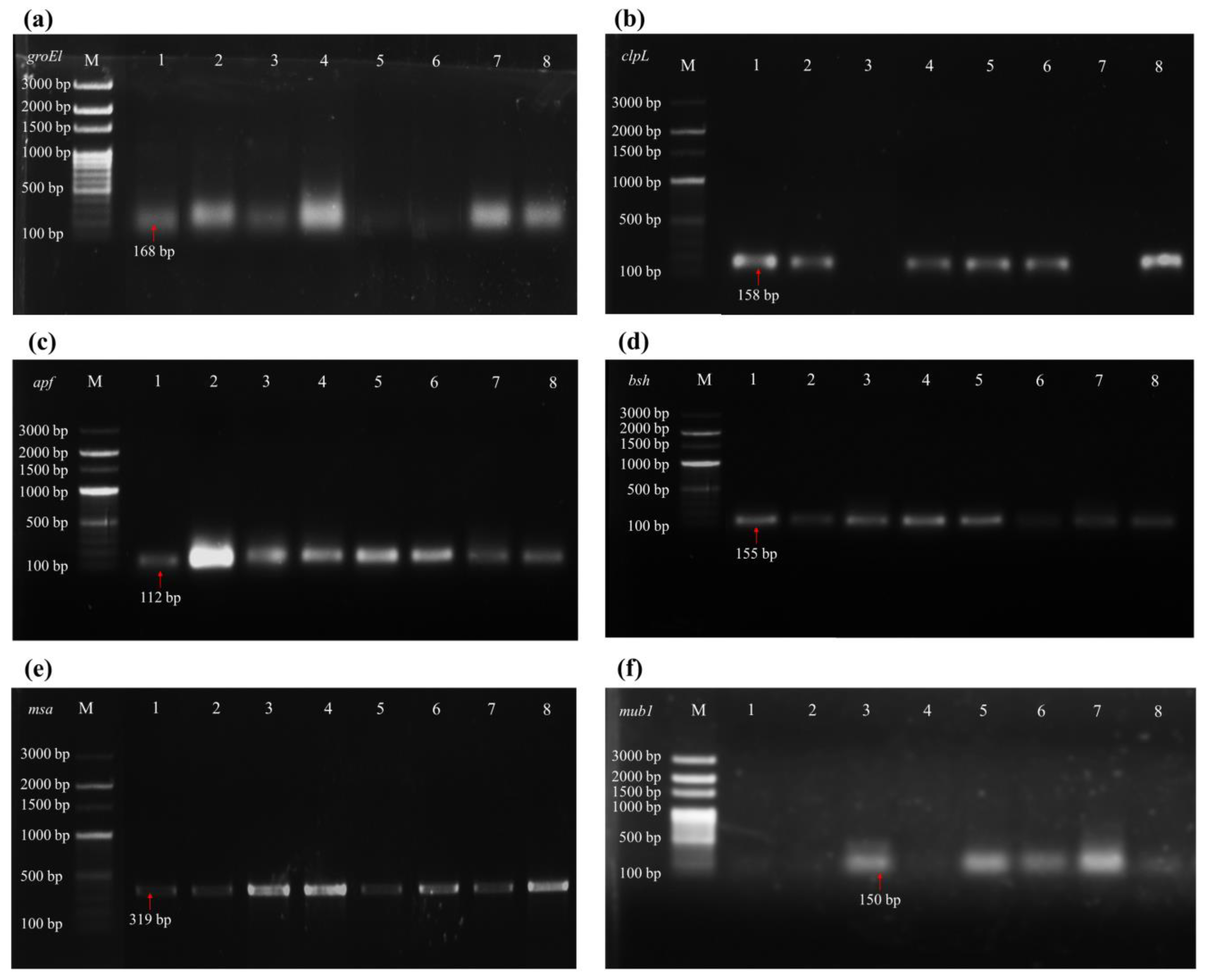 Fermentation 09 00461 g003 Fermentation 09 00461 g003