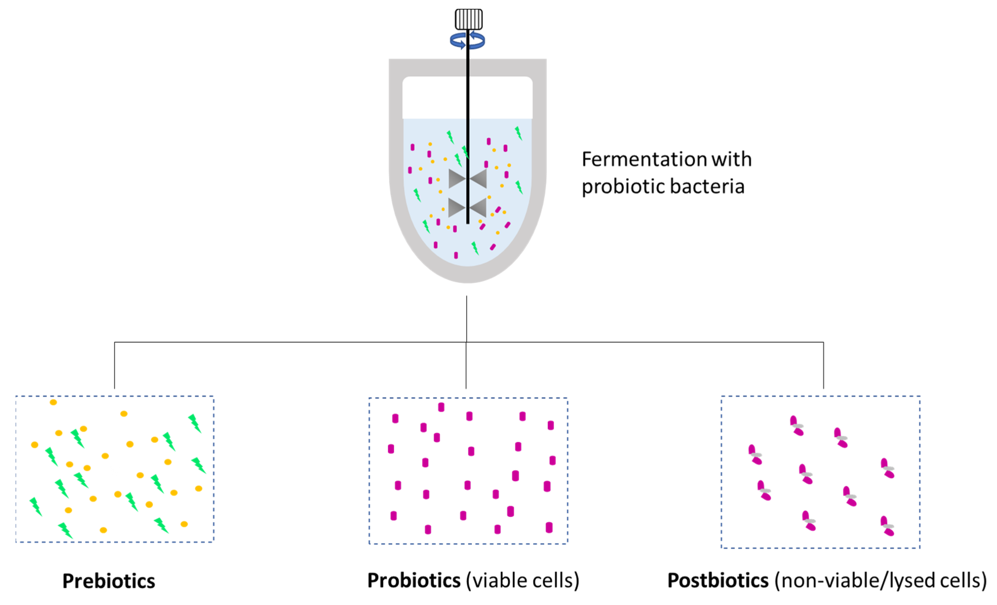 Fermentation 09 00463 g008 Fermentation 09 00463 g008