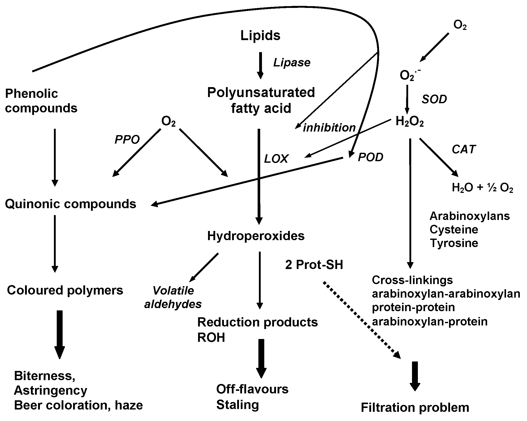 Fermentation 09 00464 g004