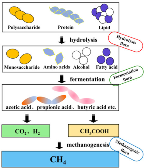 A Review on the Interspecies Electron Transfer of Methane