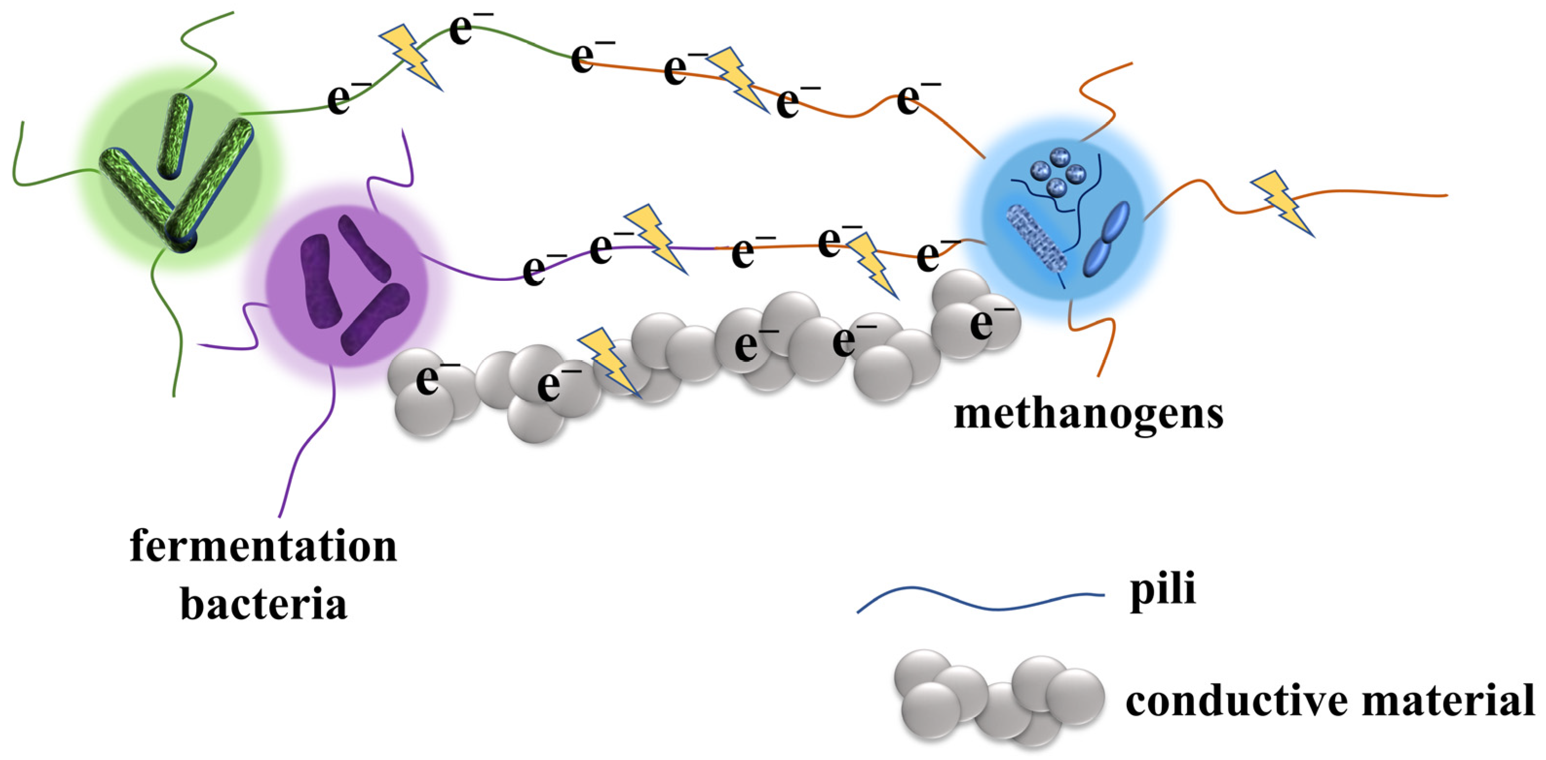 Magnetite Alters the Metabolic Interaction between Methanogens and