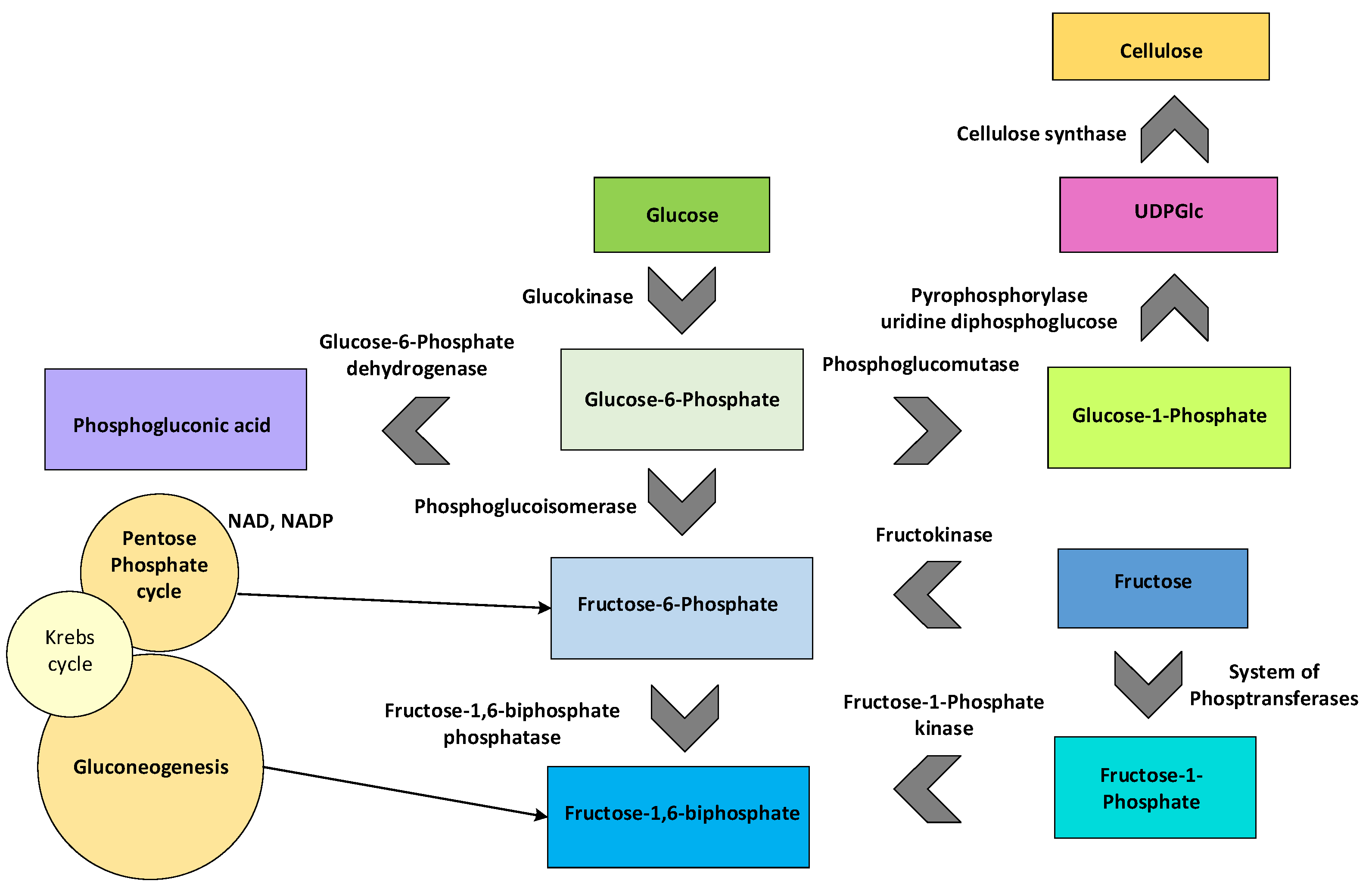Fermentation 09 00472 g003 Fermentation 09 00472 g003