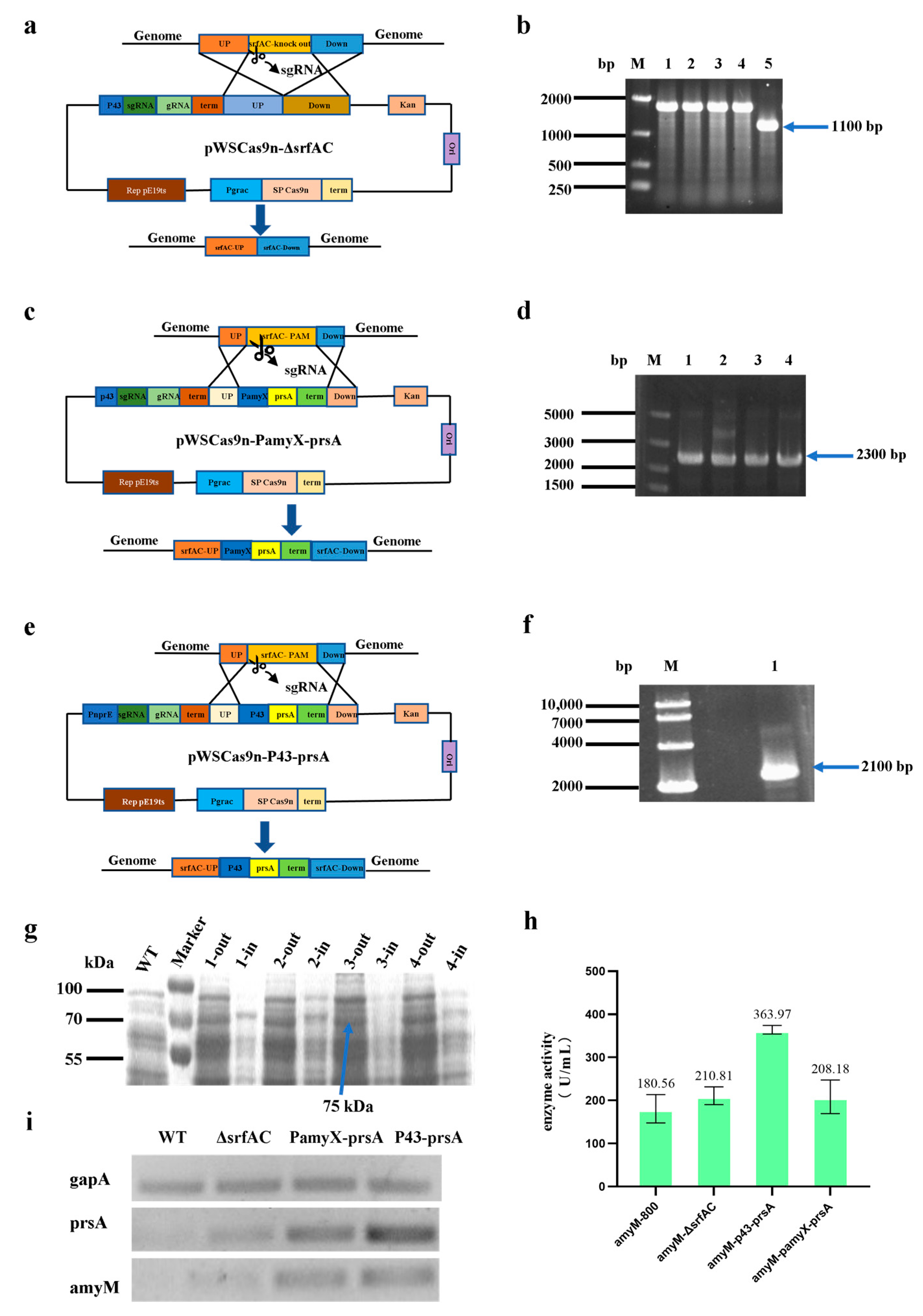 Fermentation 09 00475 g002