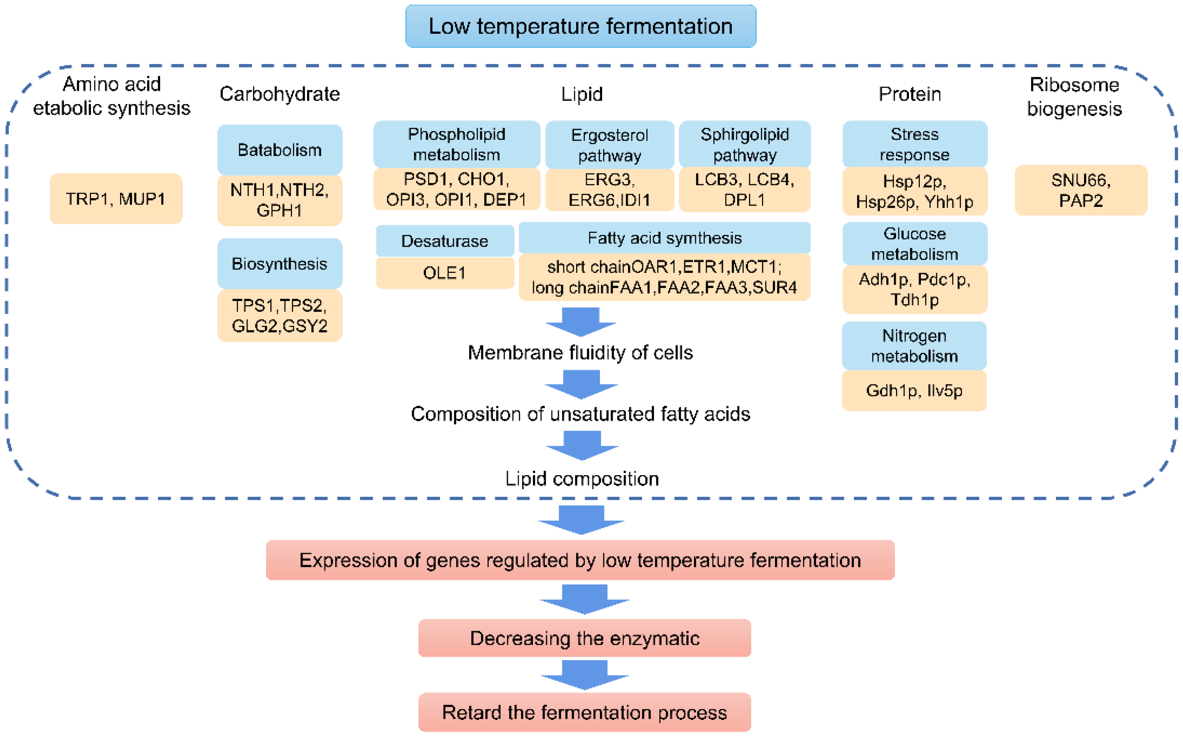 Fermentation 09 00477 g002