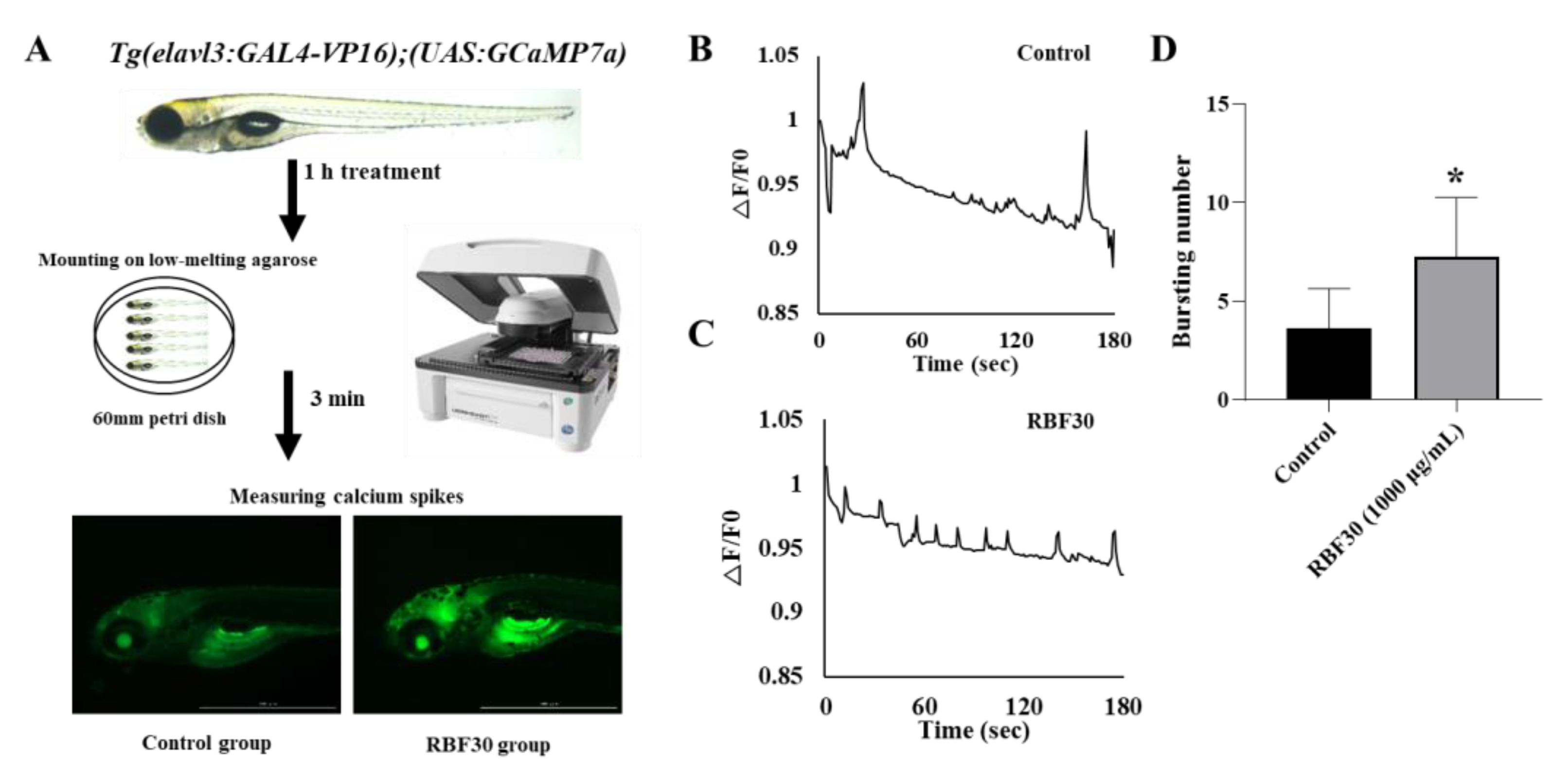 Fermentation 09 00479 g005 Fermentation 09 00479 g005