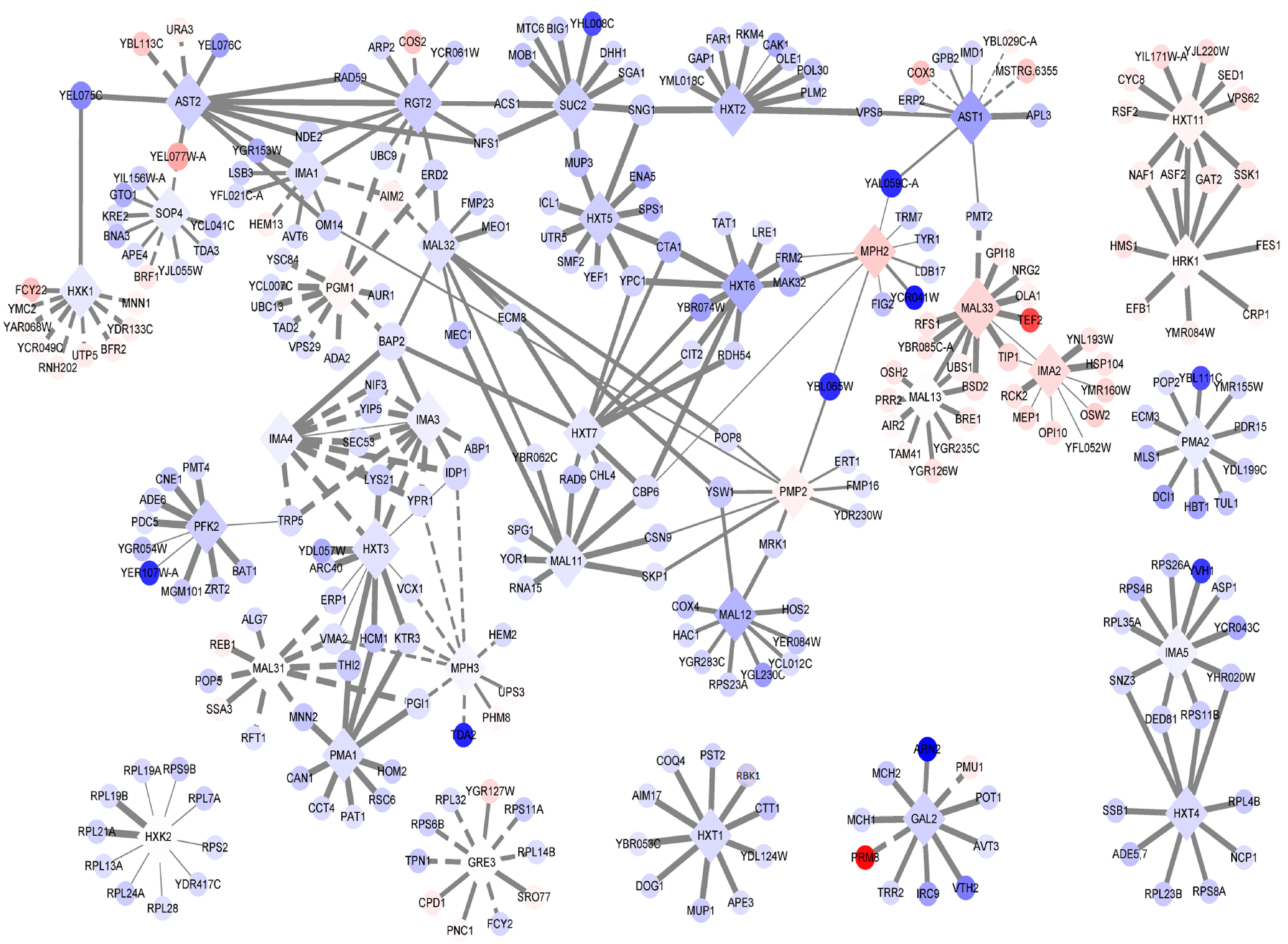 Fermentation 09 00483 g012