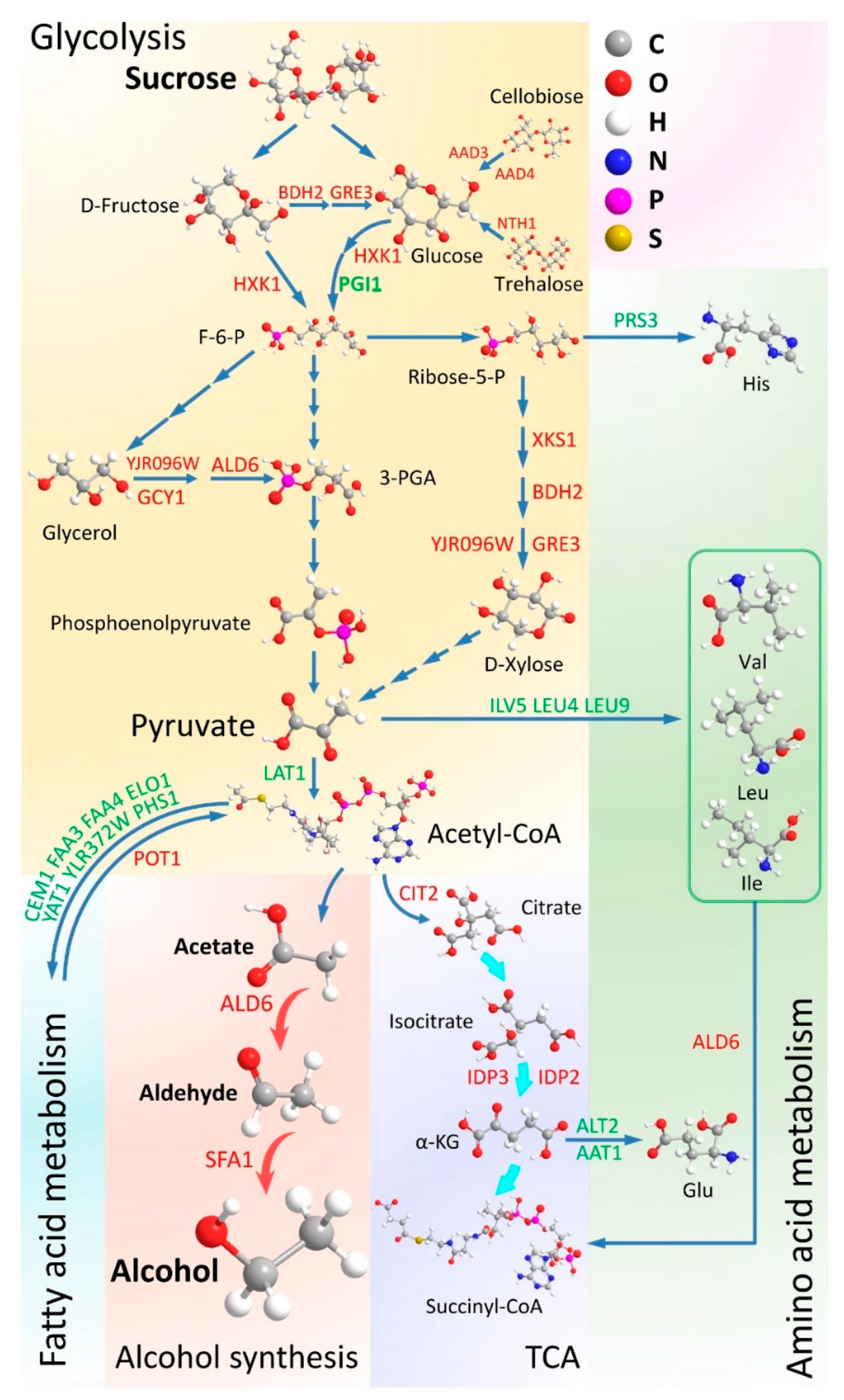 Fermentation 09 00483 g013