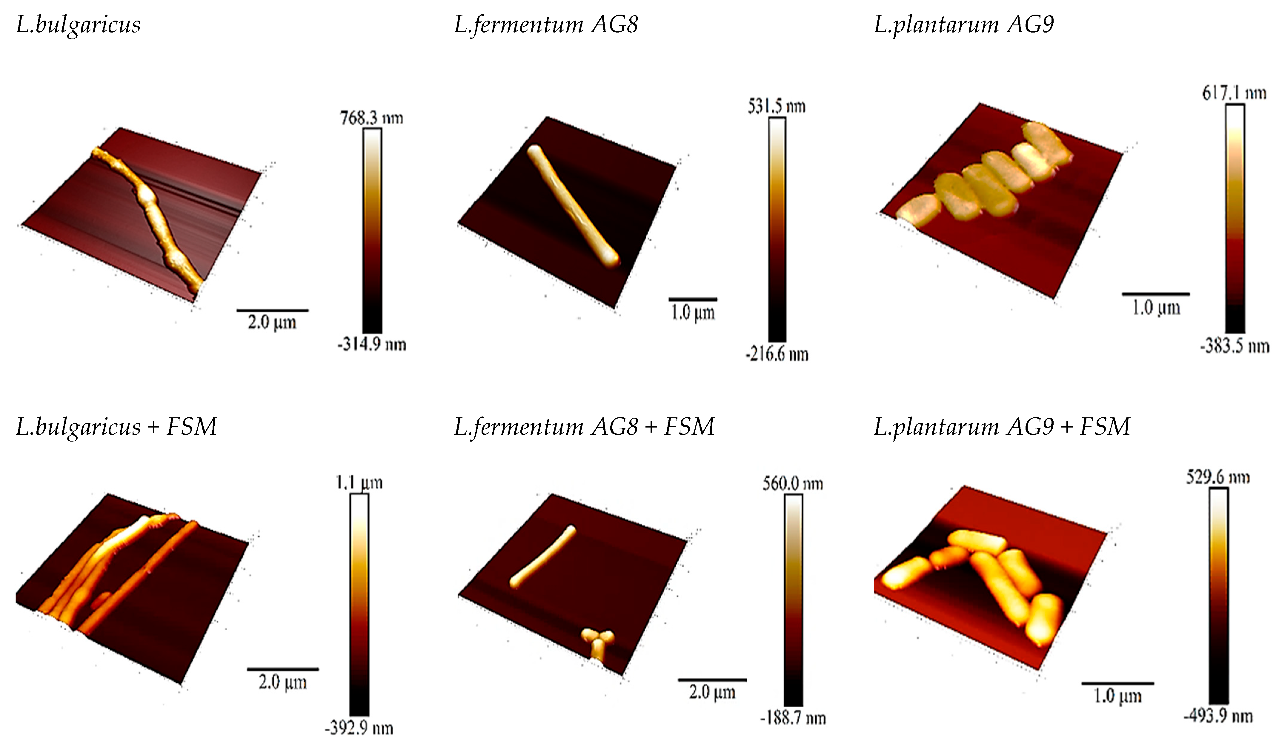 Fermentation 09 00486 g004