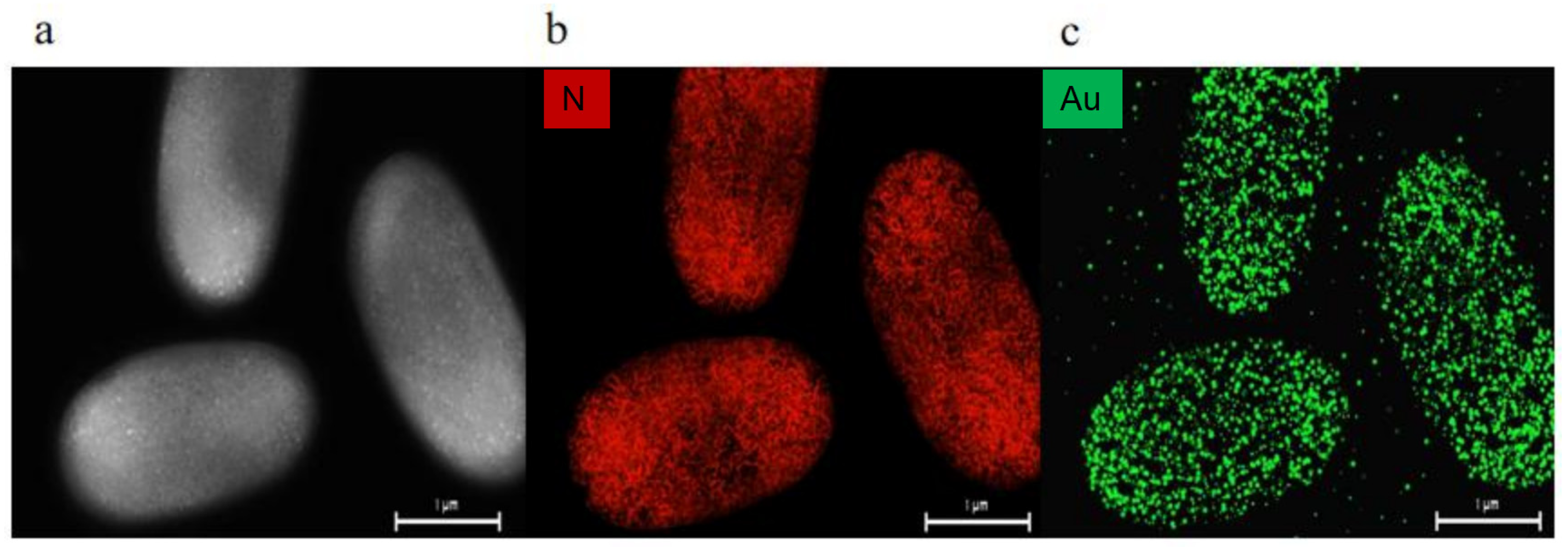 Fermentation 09 00488 g009