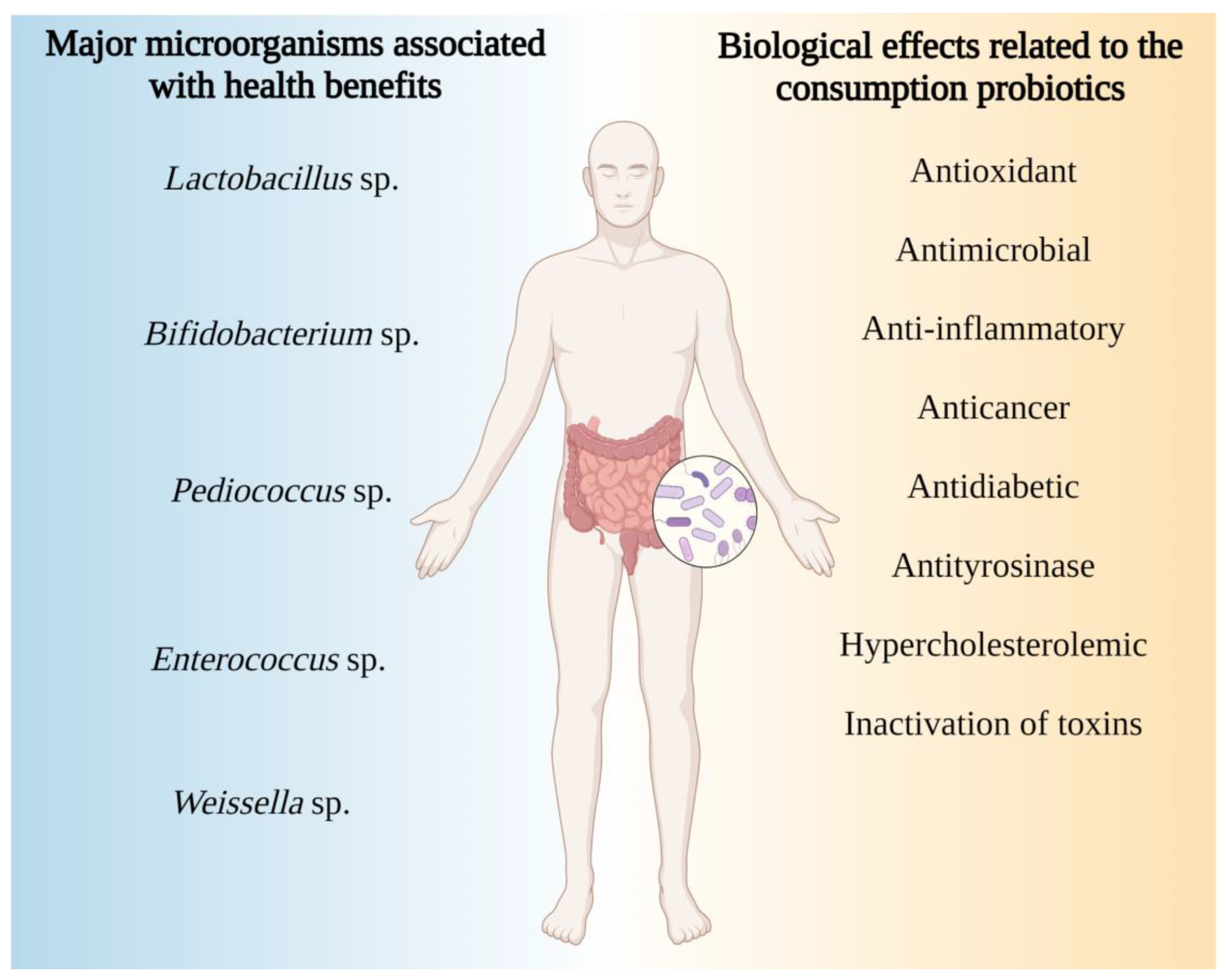 Fermentation 09 00496 g001 Fermentation 09 00496 g001