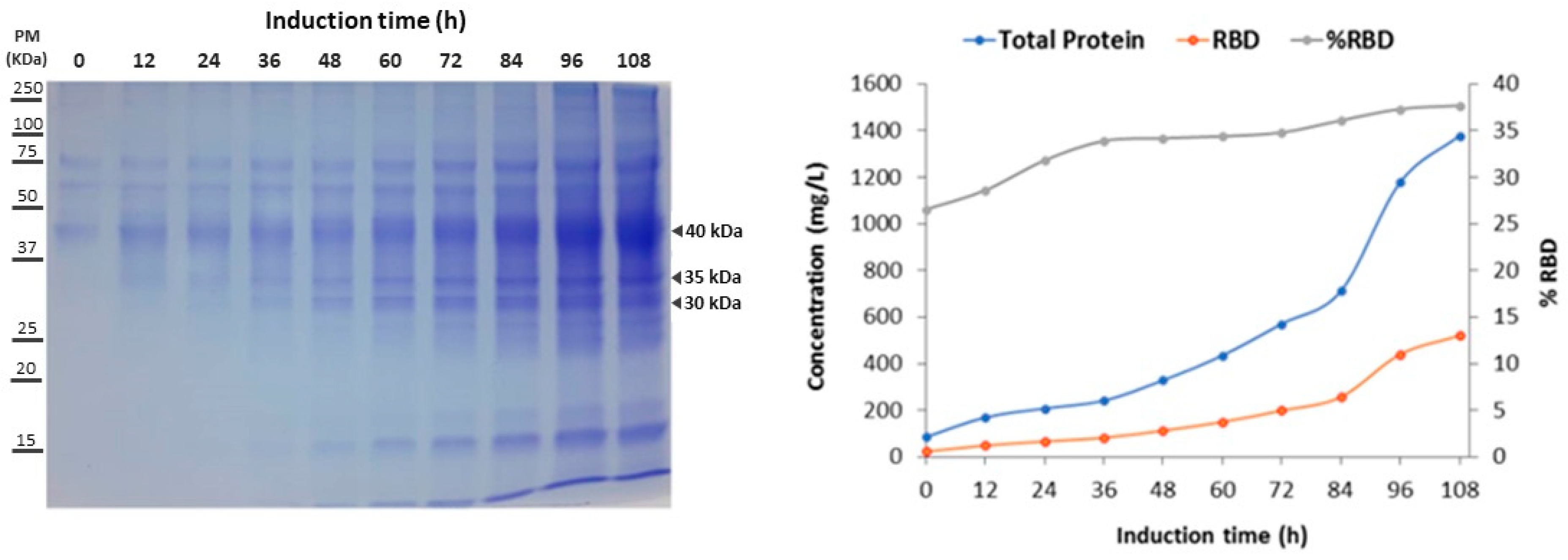 Fermentation 09 00497 g003