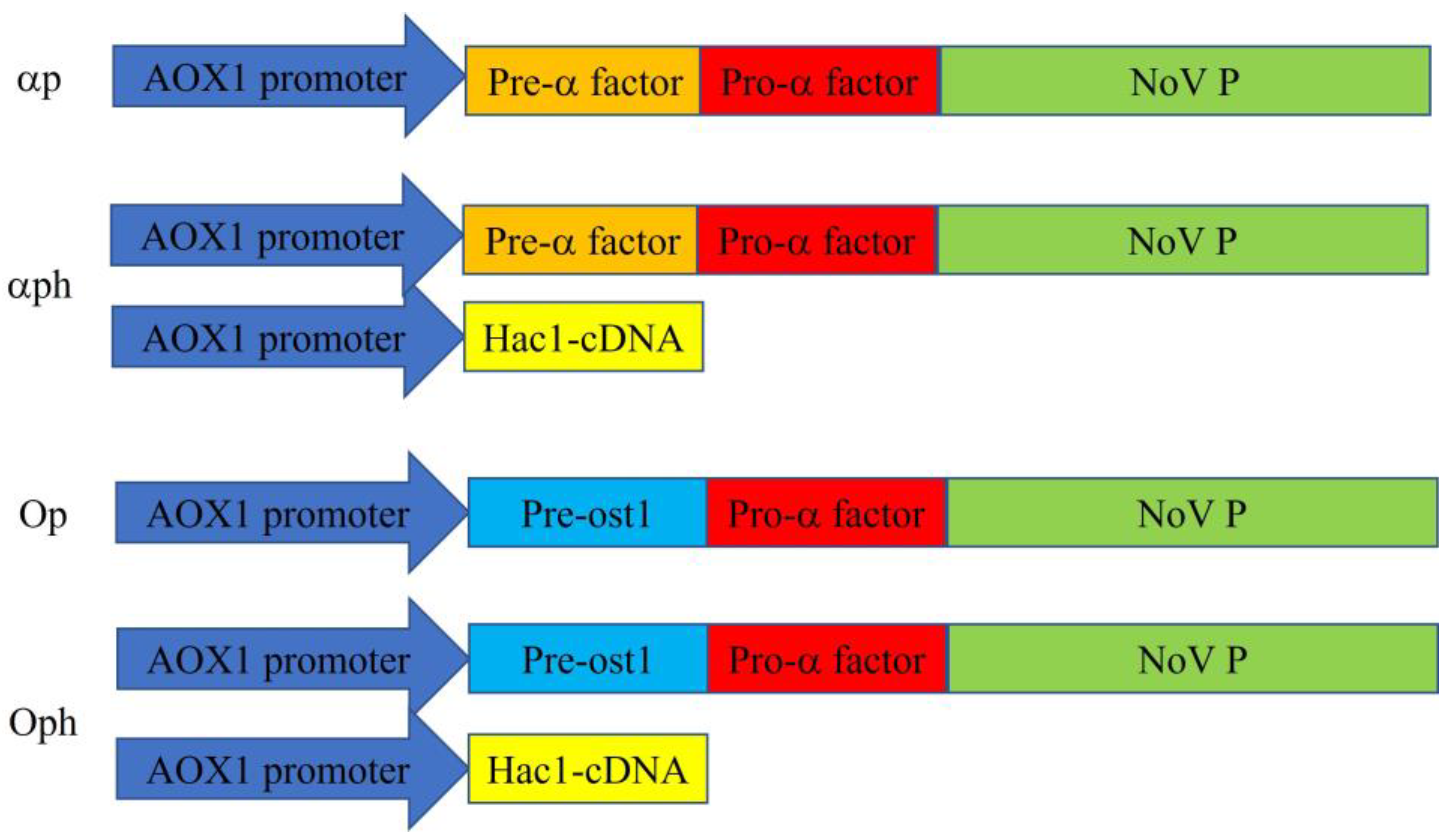 Fermentation 09 00498 g001 Fermentation 09 00498 g001