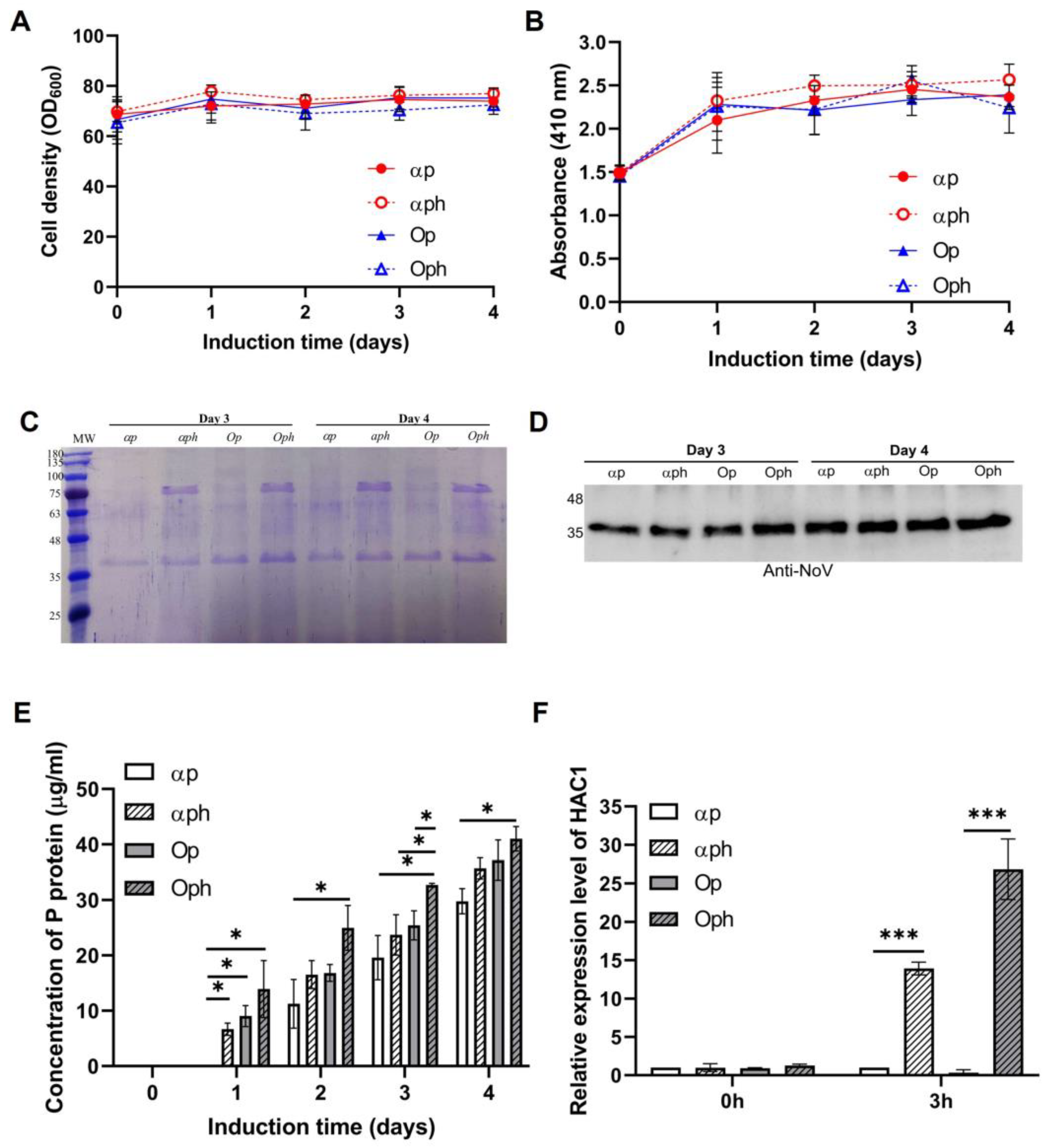 Fermentation 09 00498 g002 Fermentation 09 00498 g002