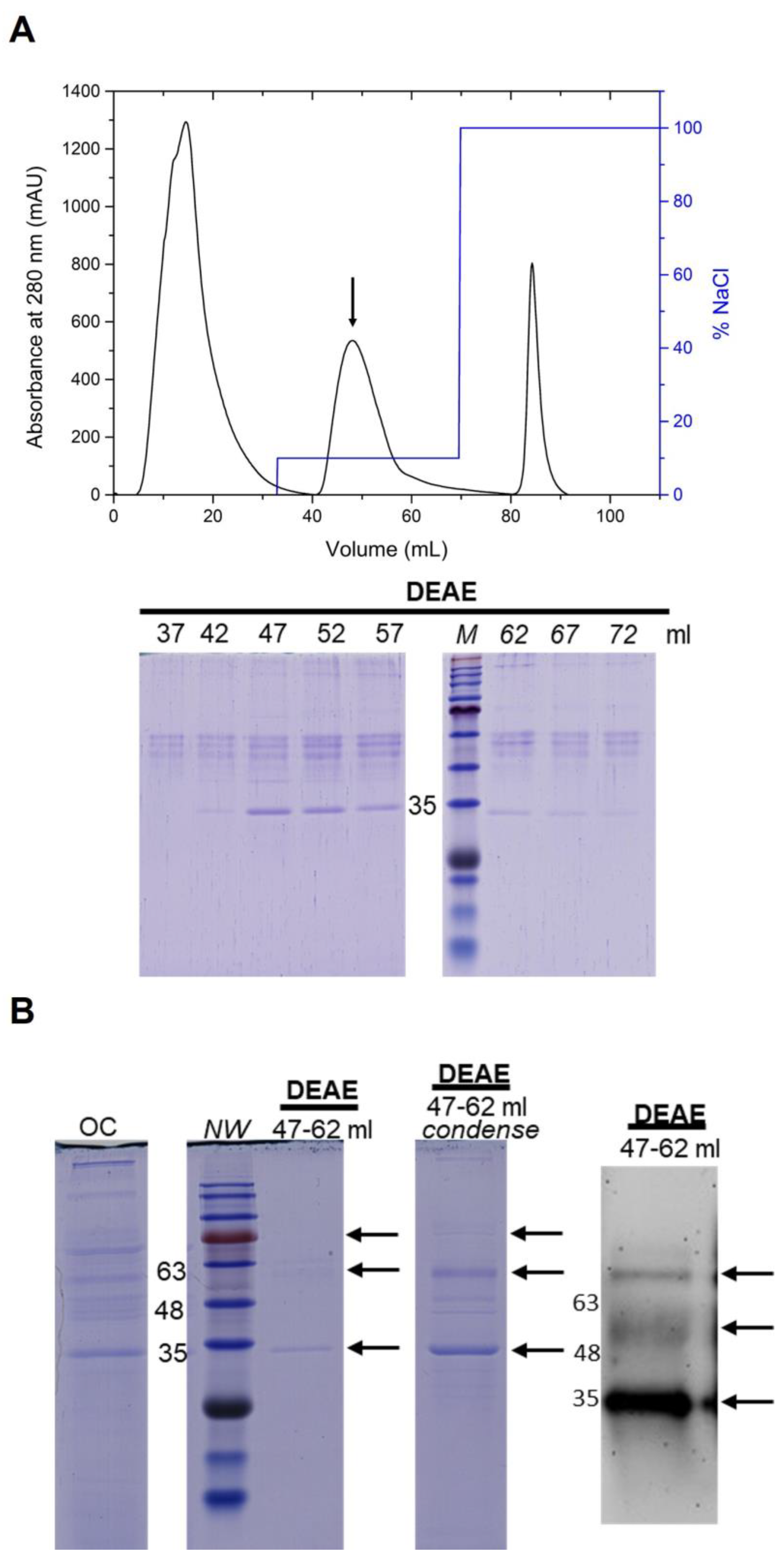 Fermentation 09 00498 g004 Fermentation 09 00498 g004