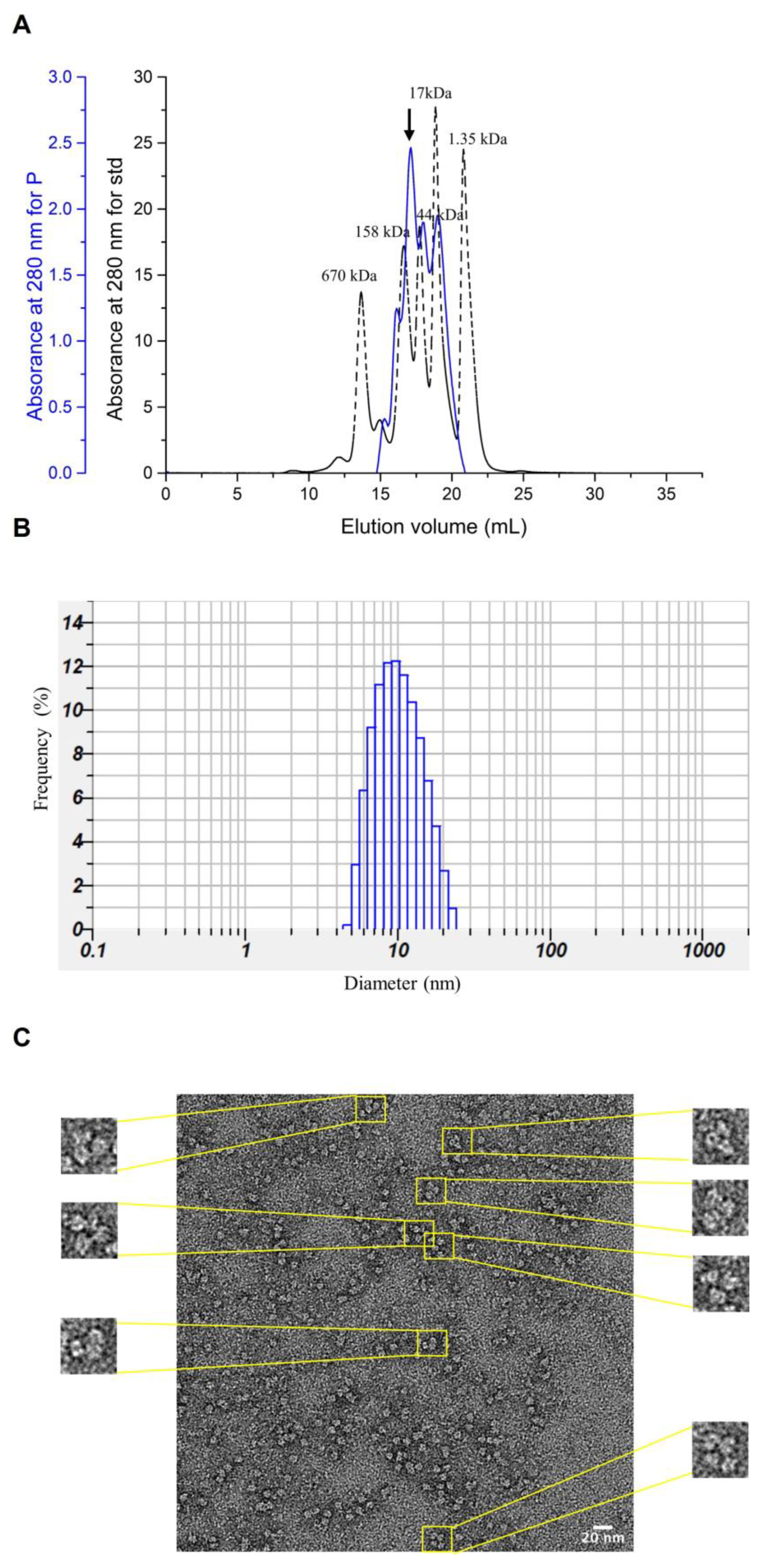 Fermentation 09 00498 g005 Fermentation 09 00498 g005