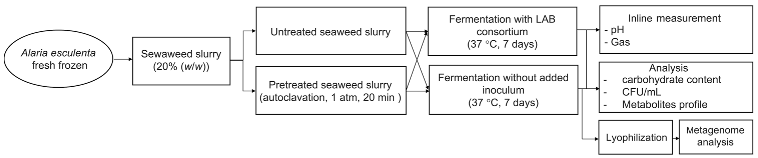 Fermentation 09 00499 g001