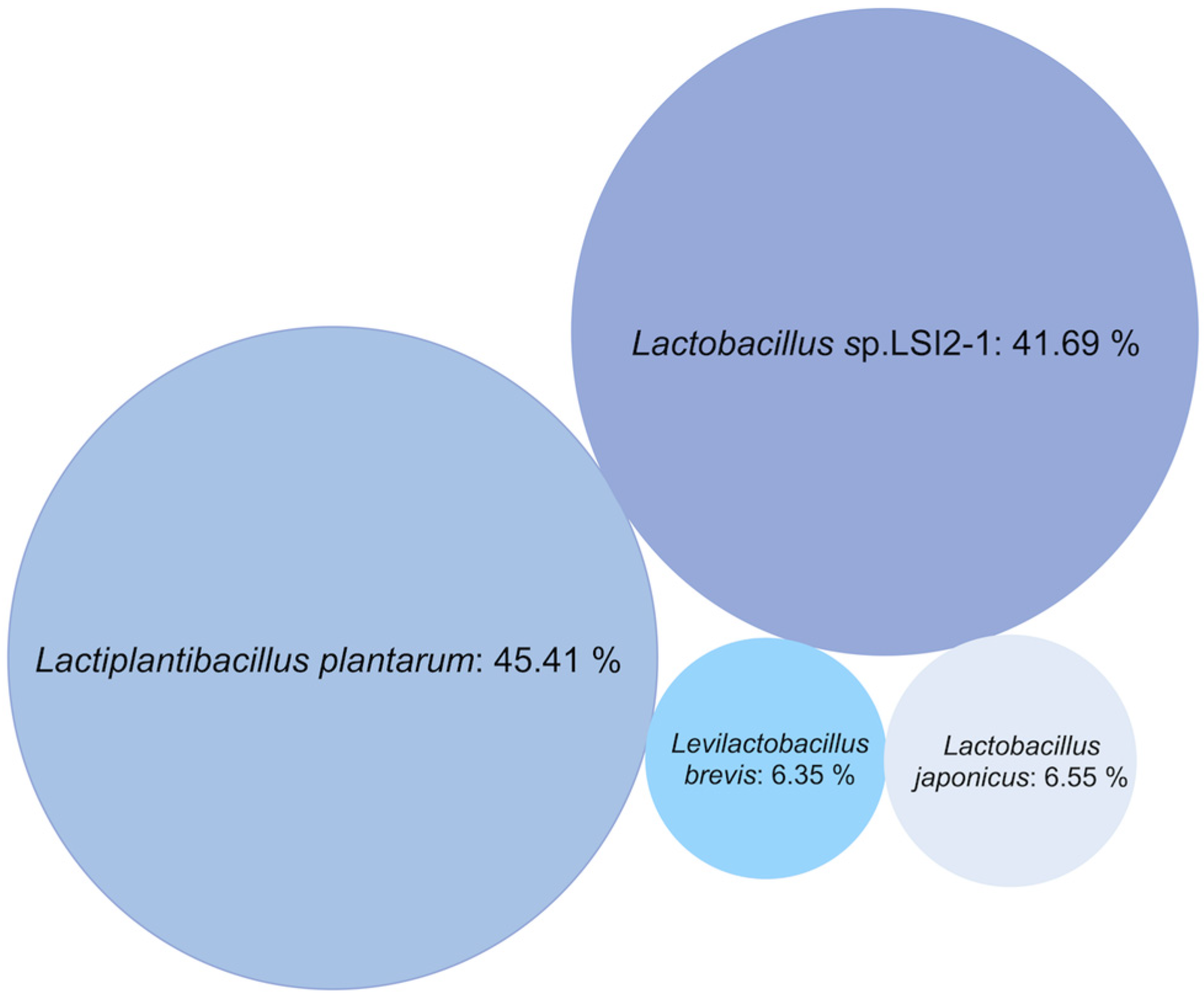 Fermentation 09 00499 g002