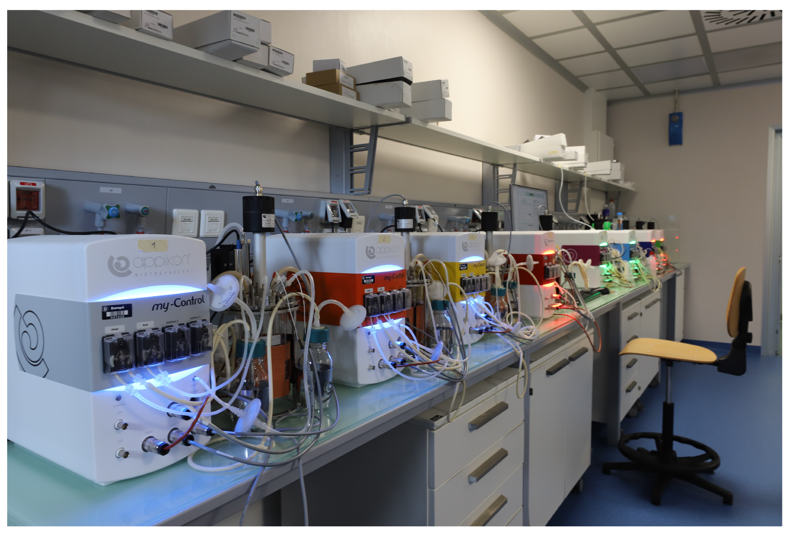 Fermentation 09 00503 g001 Fermentation 09 00503 g001