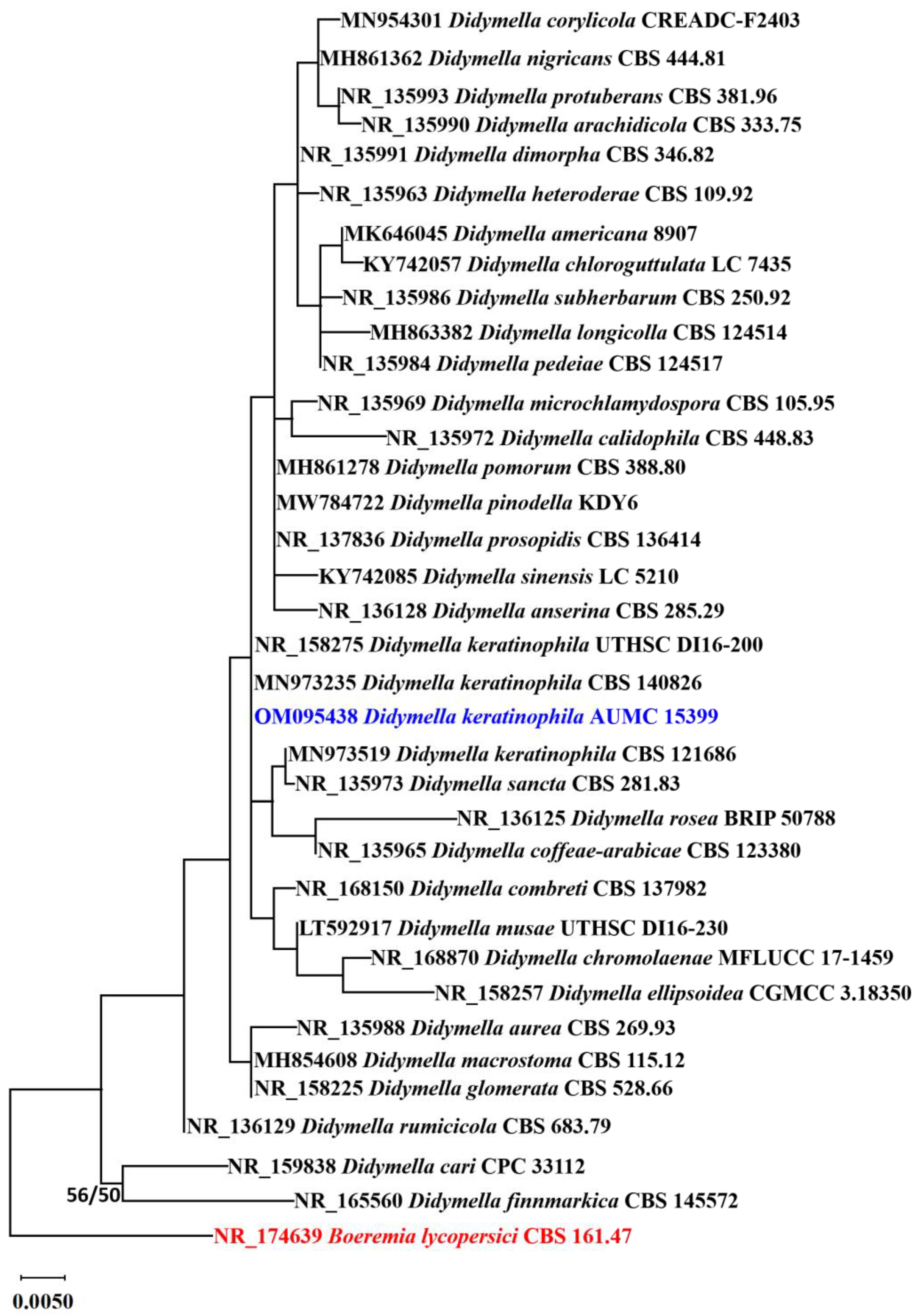 Fermentation 09 00507 g002