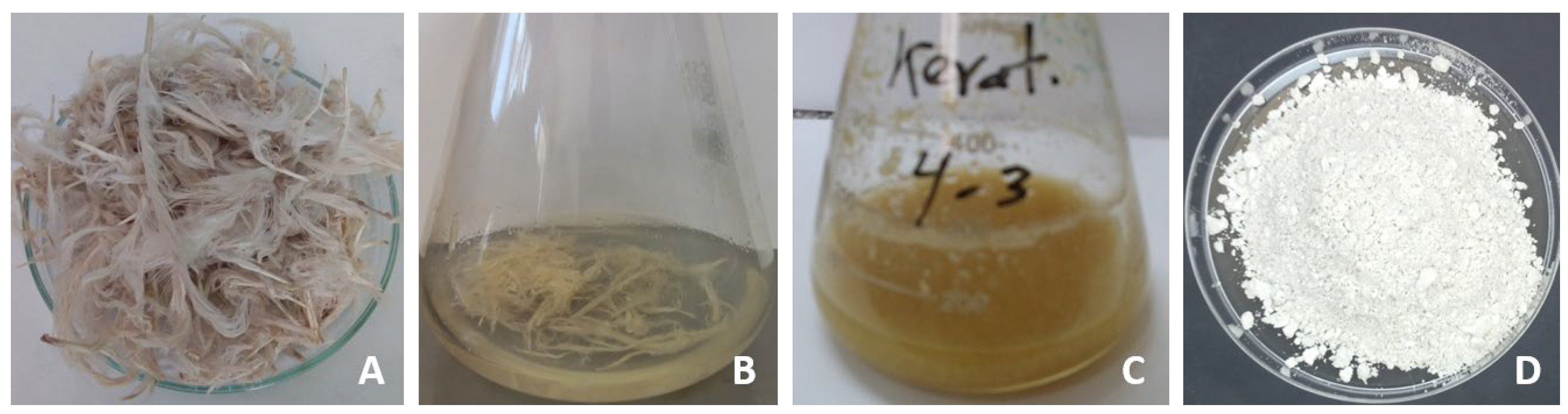 Fermentation 09 00507 g004
