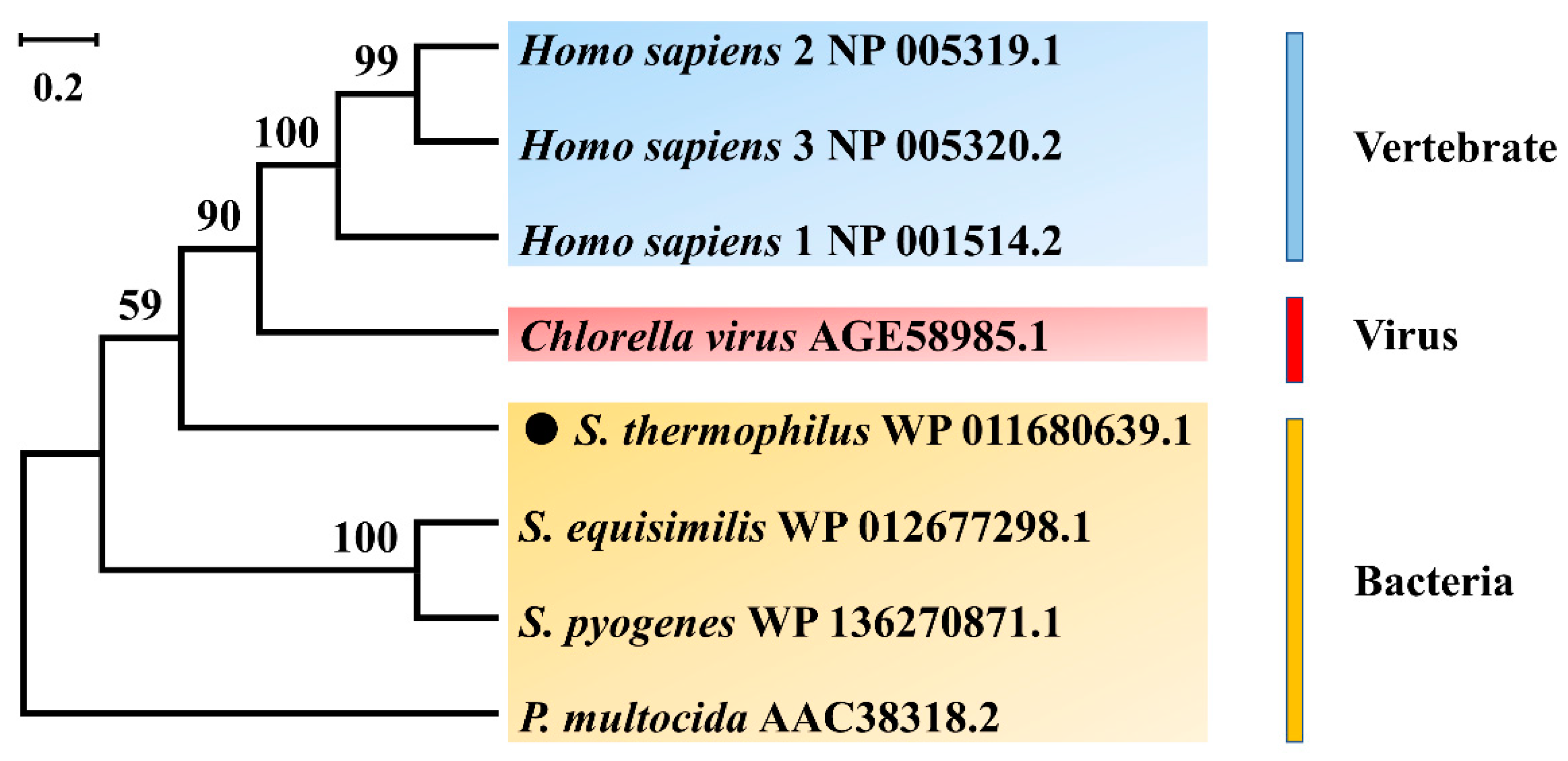 Fermentation 09 00510 g001