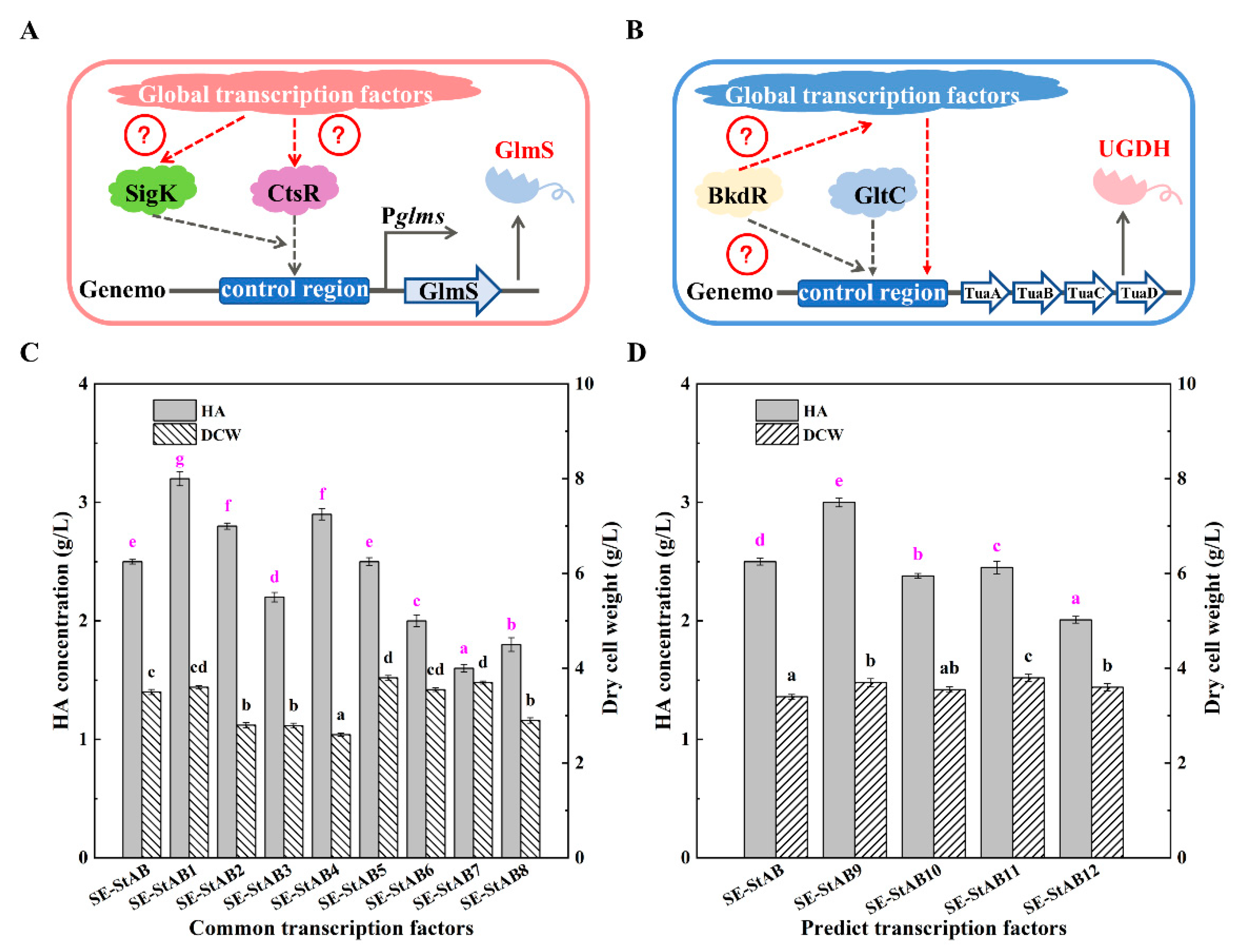 Fermentation 09 00510 g006