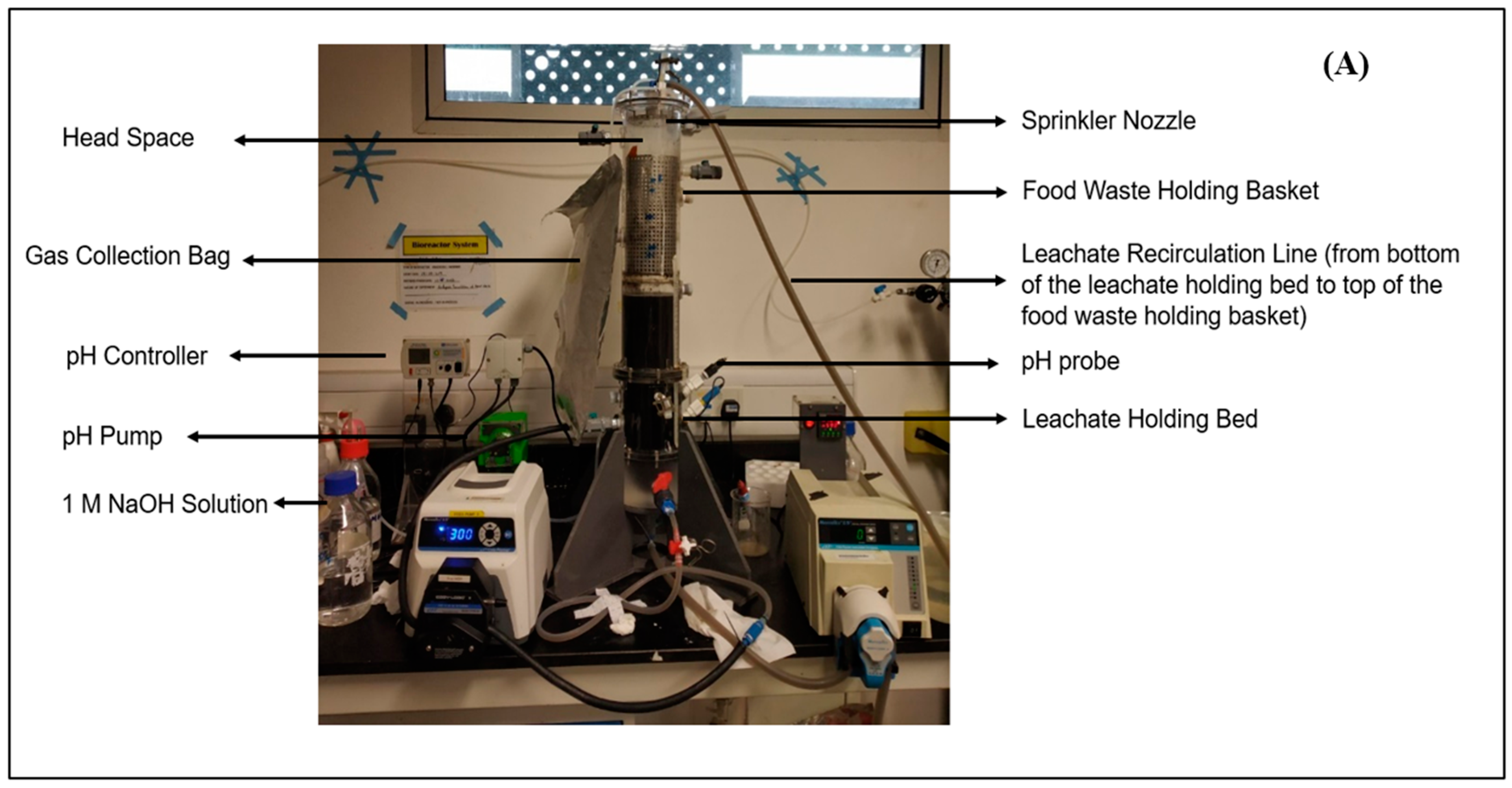 Fermentation 09 00518 g001a Fermentation 09 00518 g001a