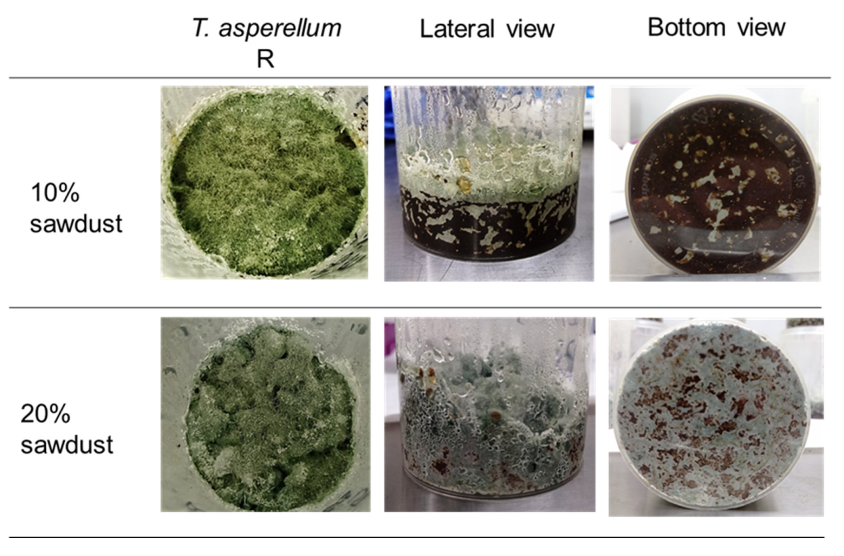 Fermentation 09 00524 g002 Fermentation 09 00524 g002