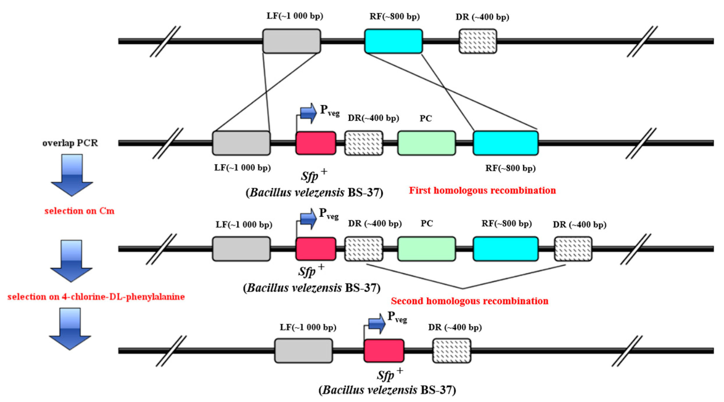 Fermentation 09 00525 g002 Fermentation 09 00525 g002