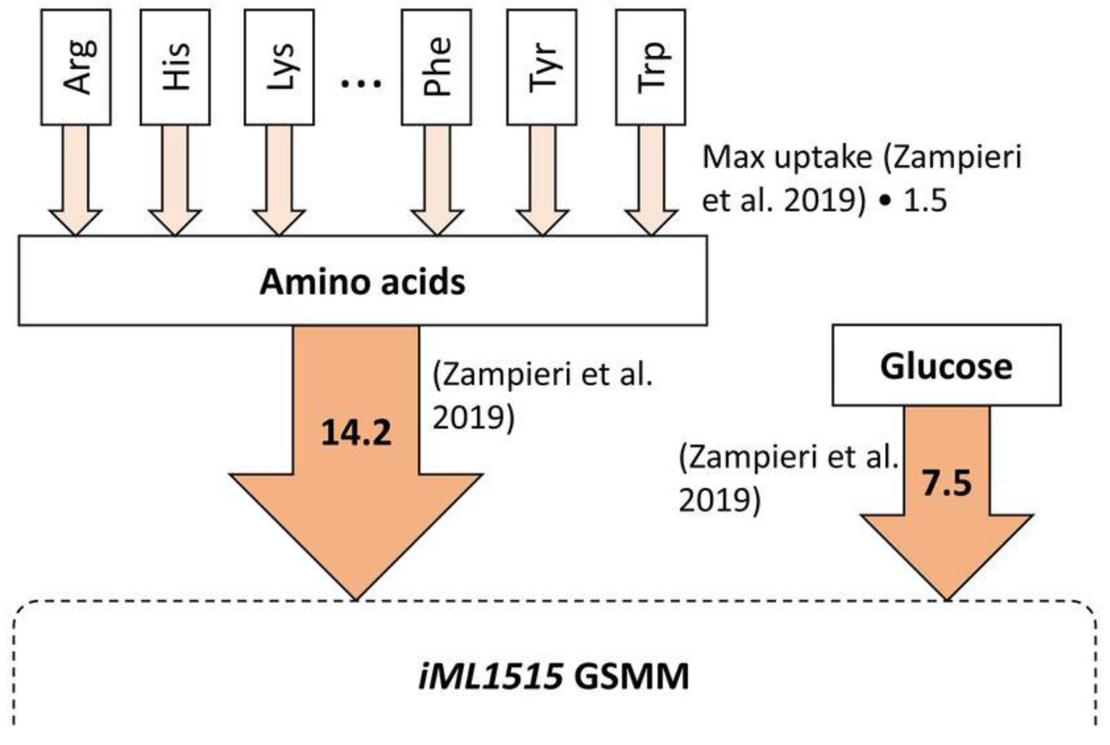 Fermentation 09 00531 g001 Fermentation 09 00531 g001