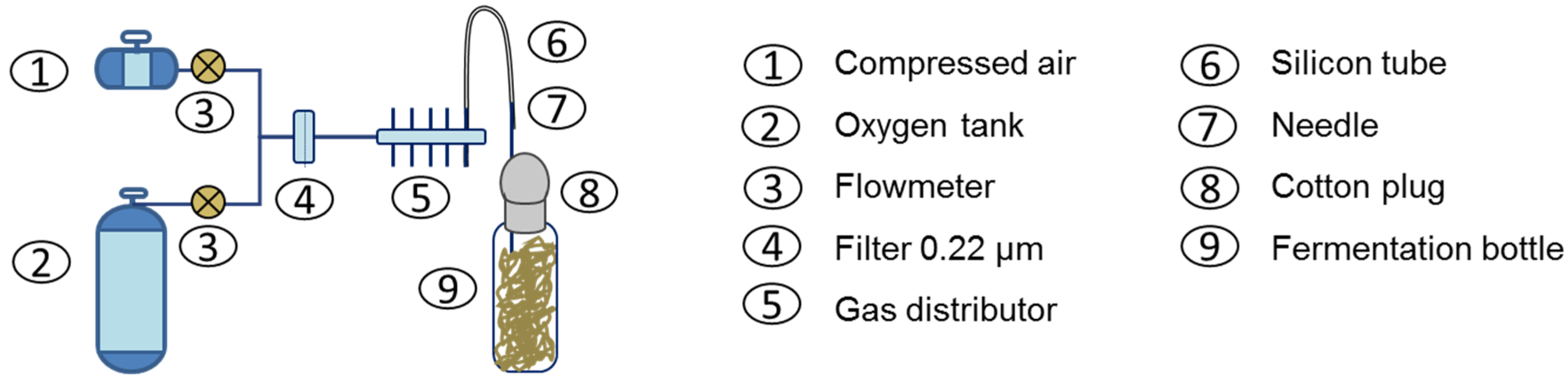 Fermentation 09 00532 g002