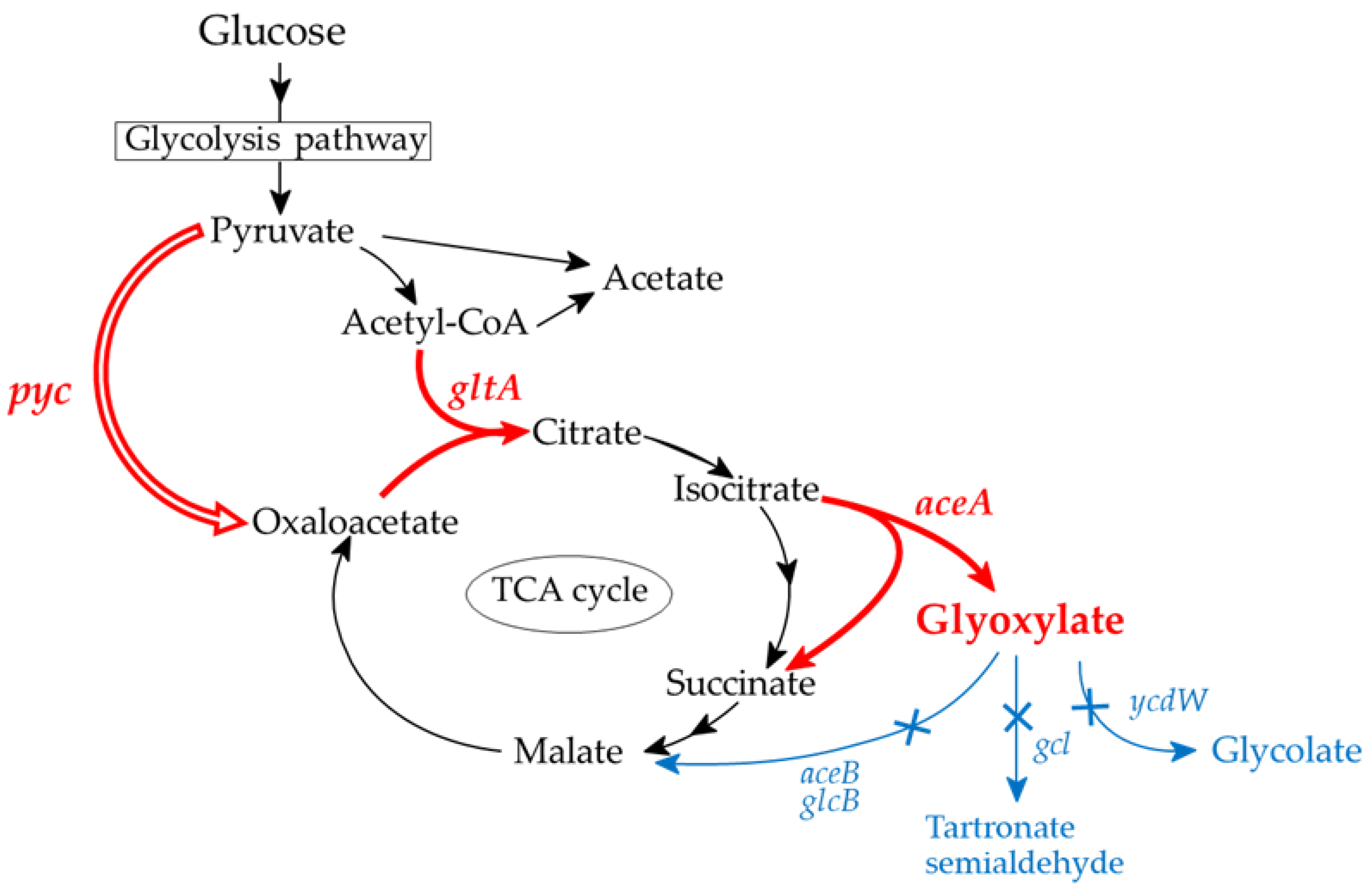Fermentation 09 00534 g001 Fermentation 09 00534 g001