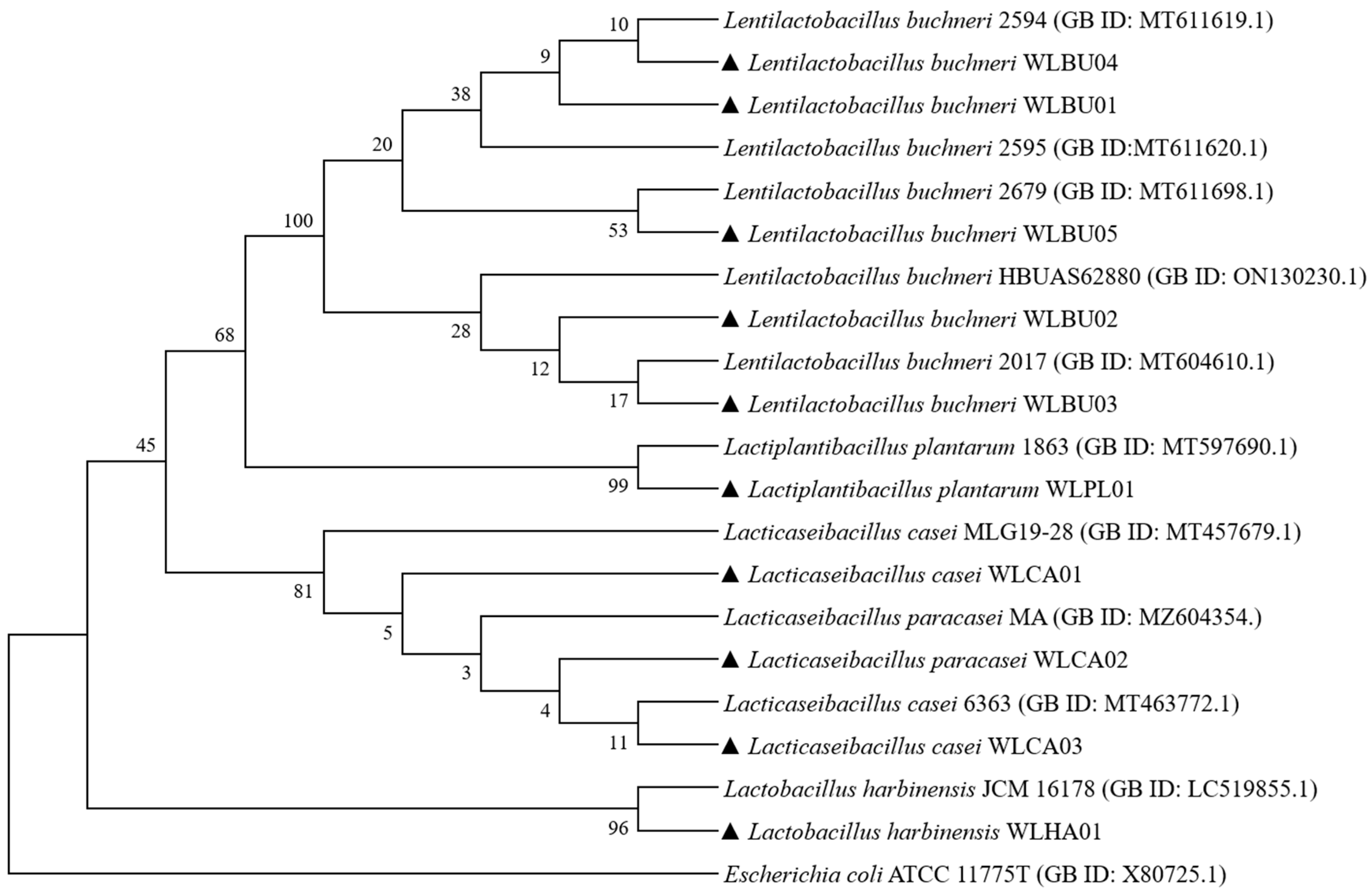 Fermentation 09 00536 g001 Fermentation 09 00536 g001